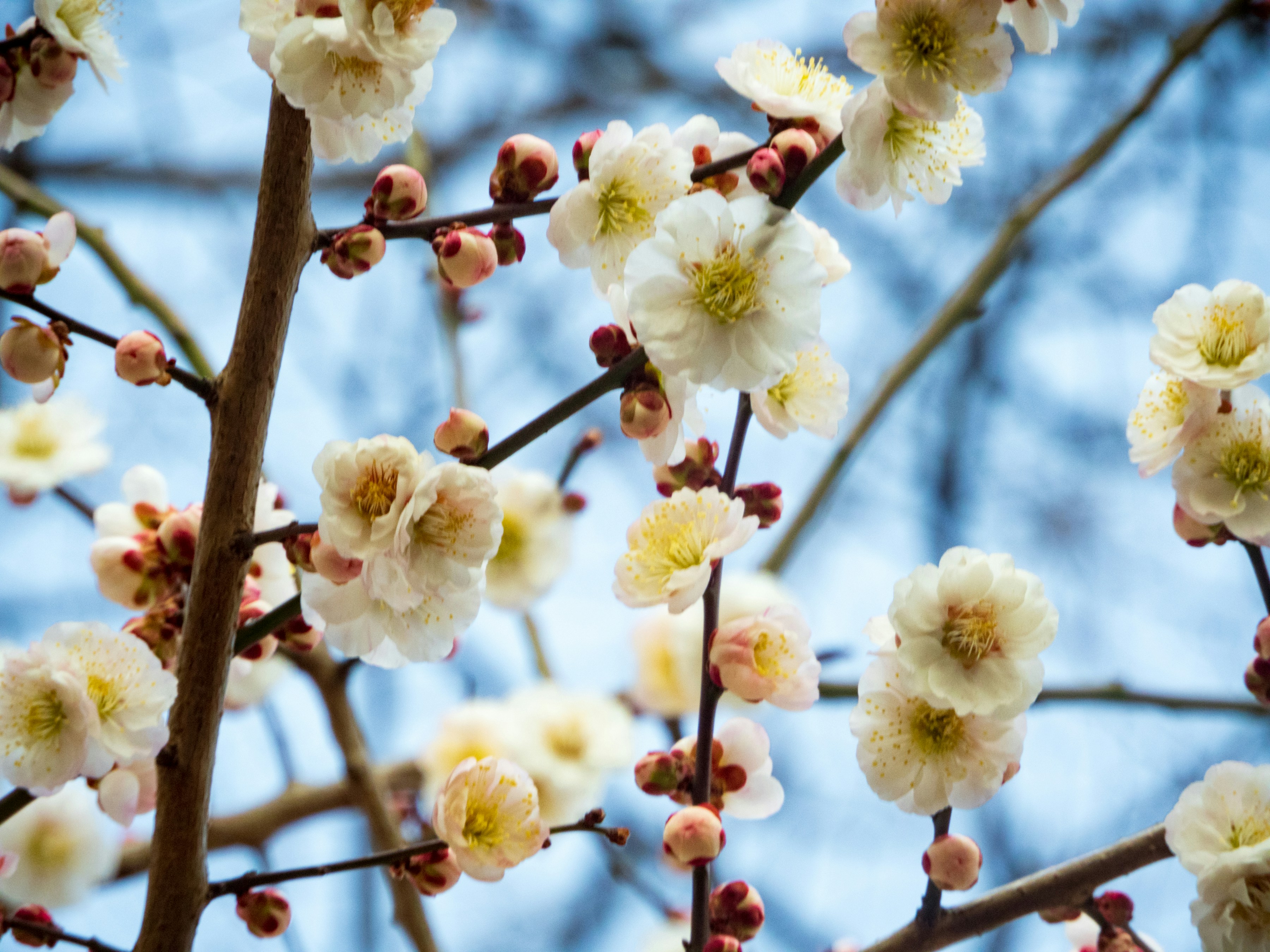 Photo by heppoko_yama