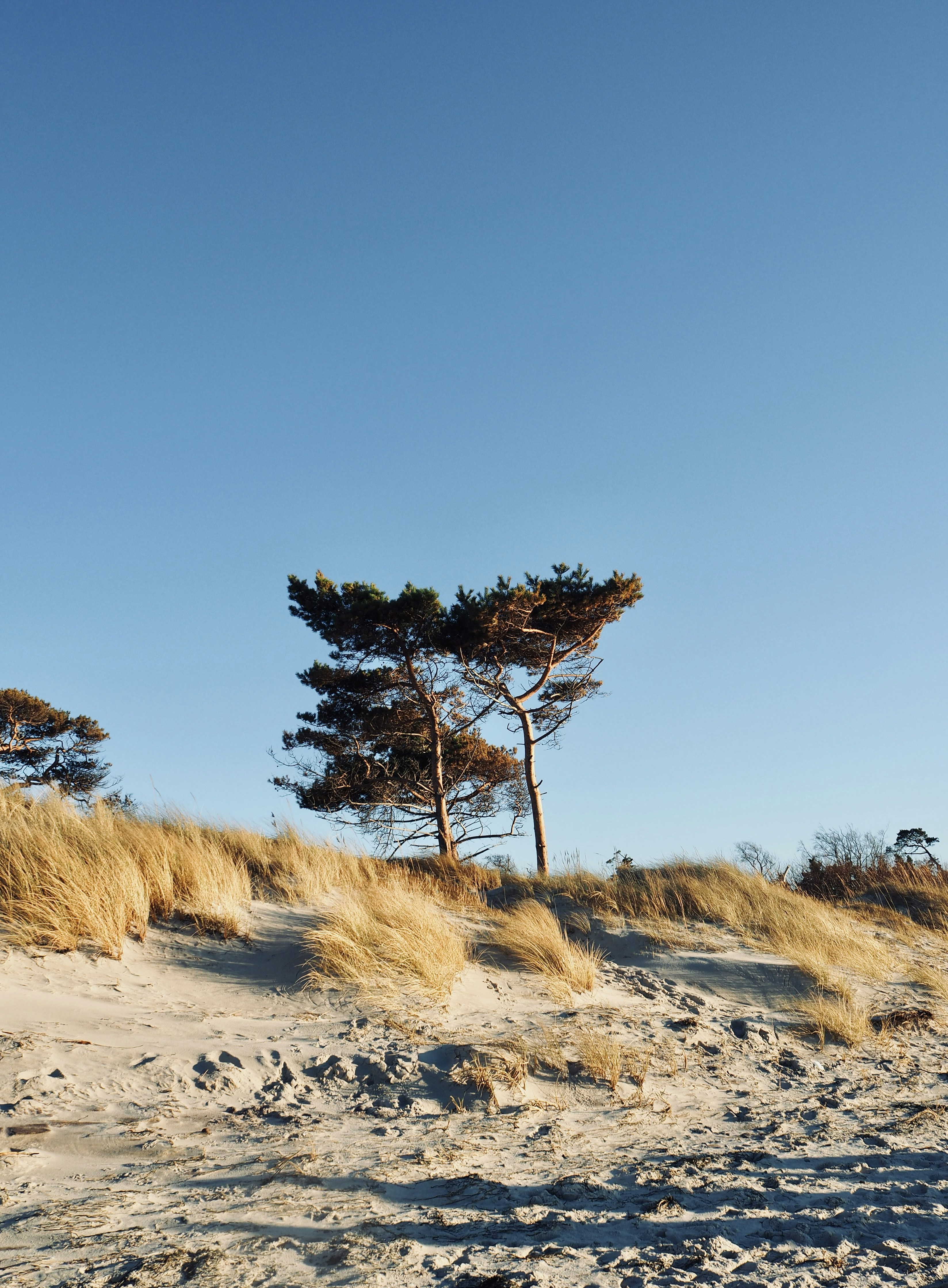 Photo by caroline_2603