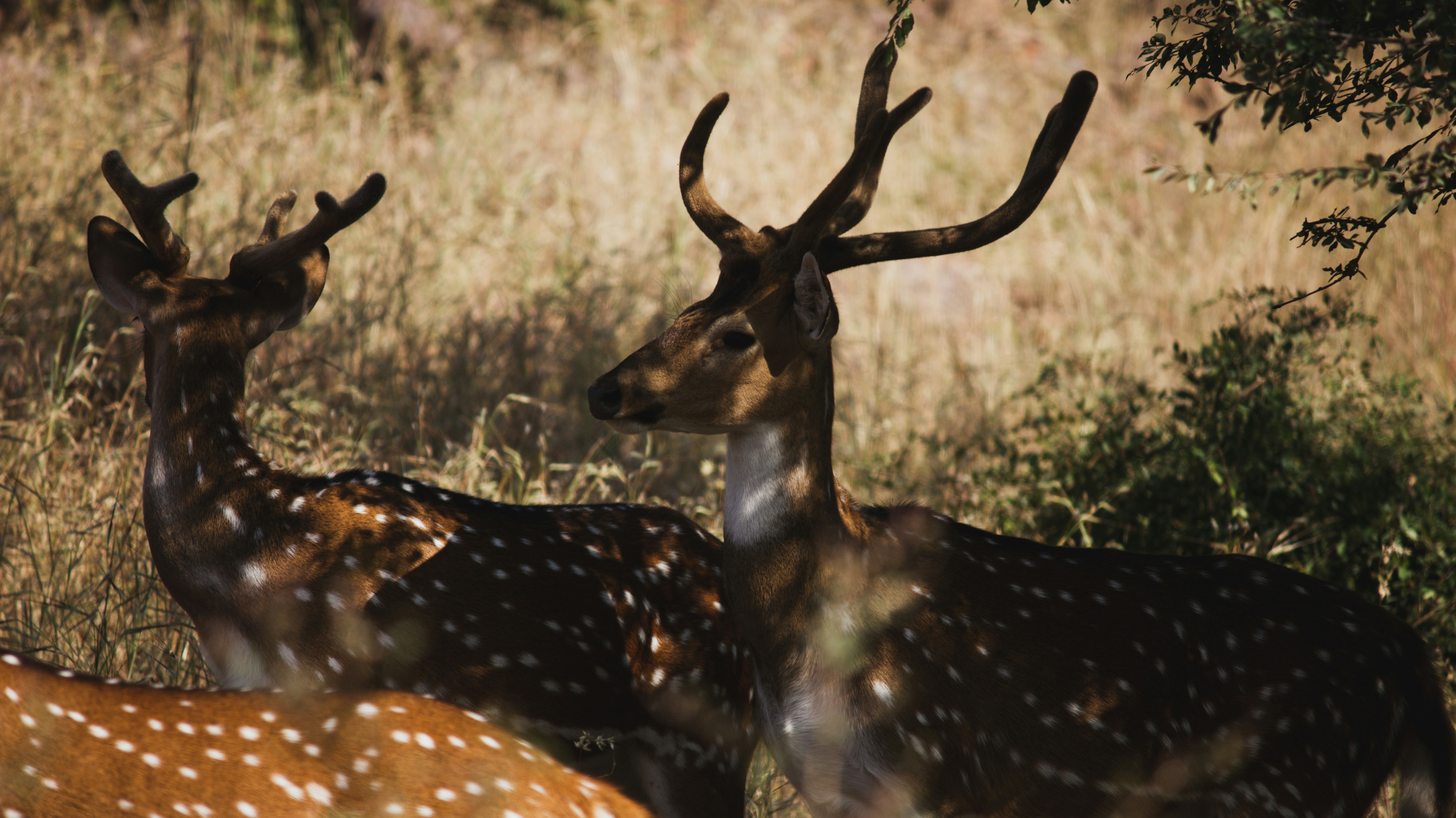 Photo by thenexcanpictures