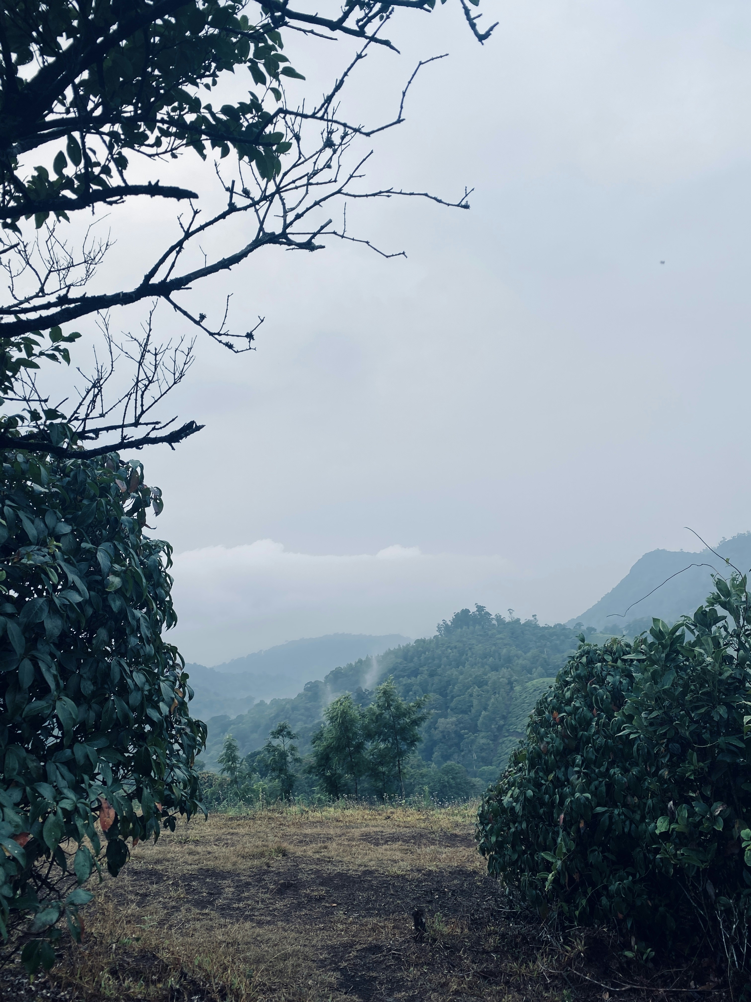 Photo by musing_photography