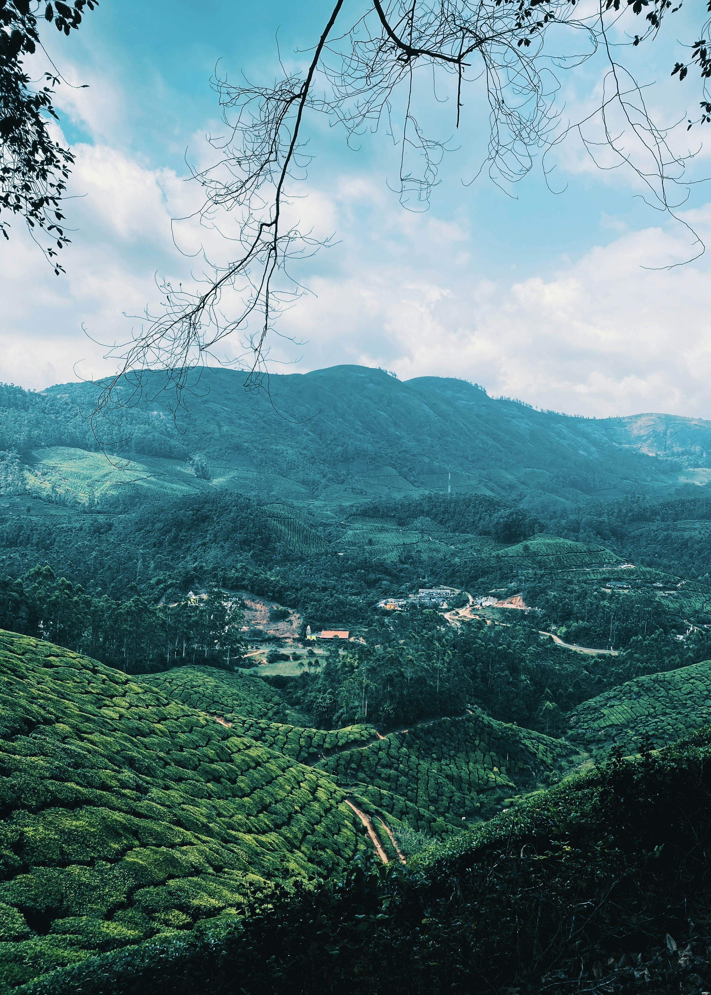 Photo by musing_photography