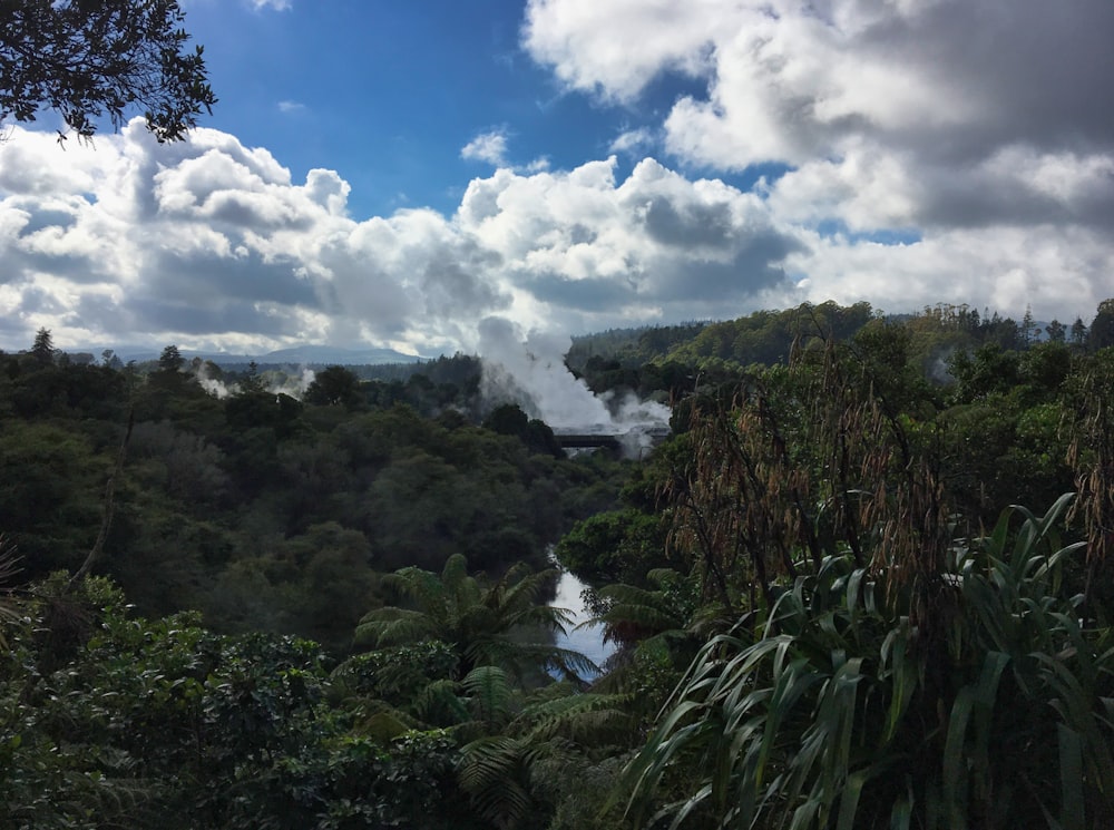 a view of a river surrounded by trees and clouds