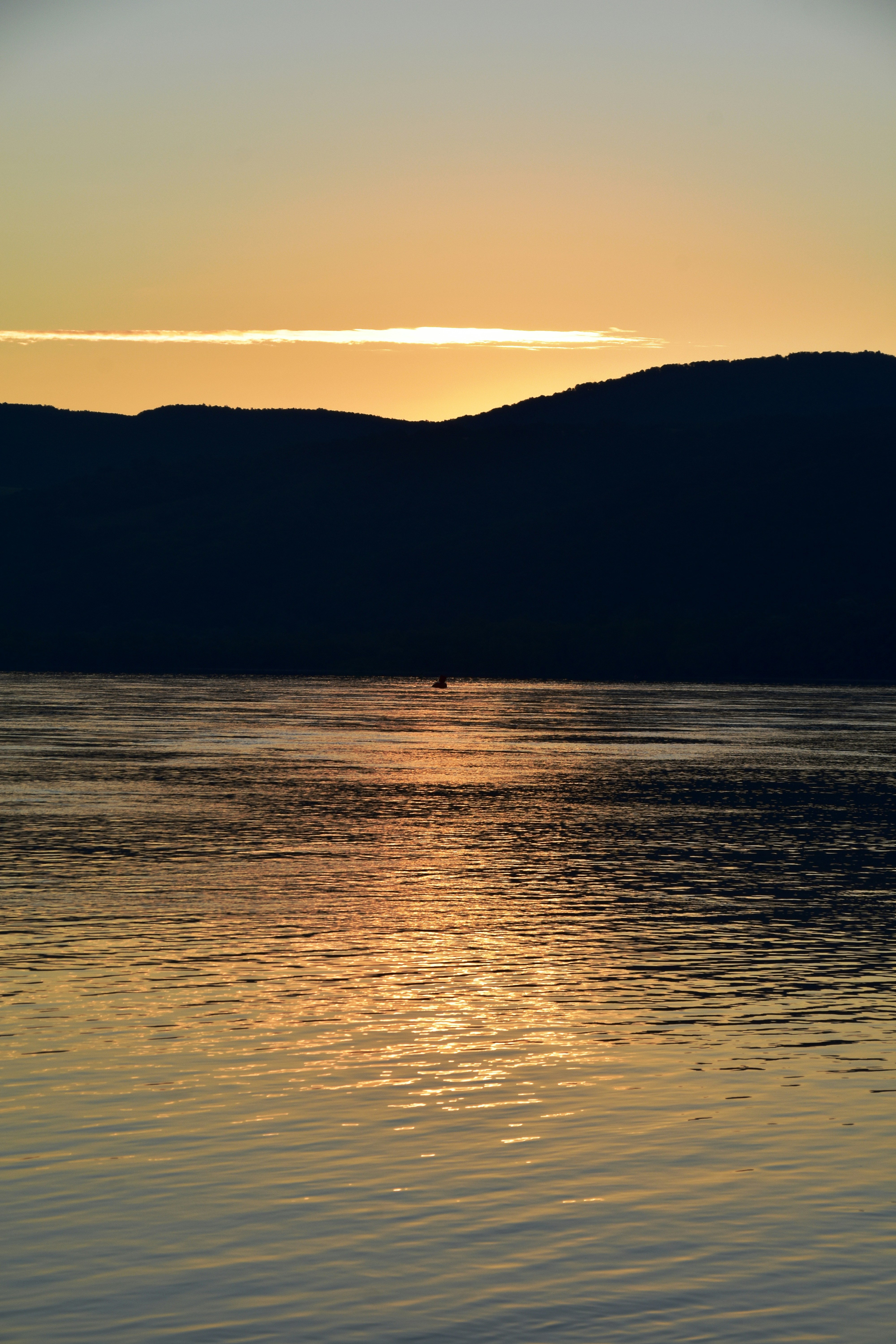 Photo by turazsuzsa
