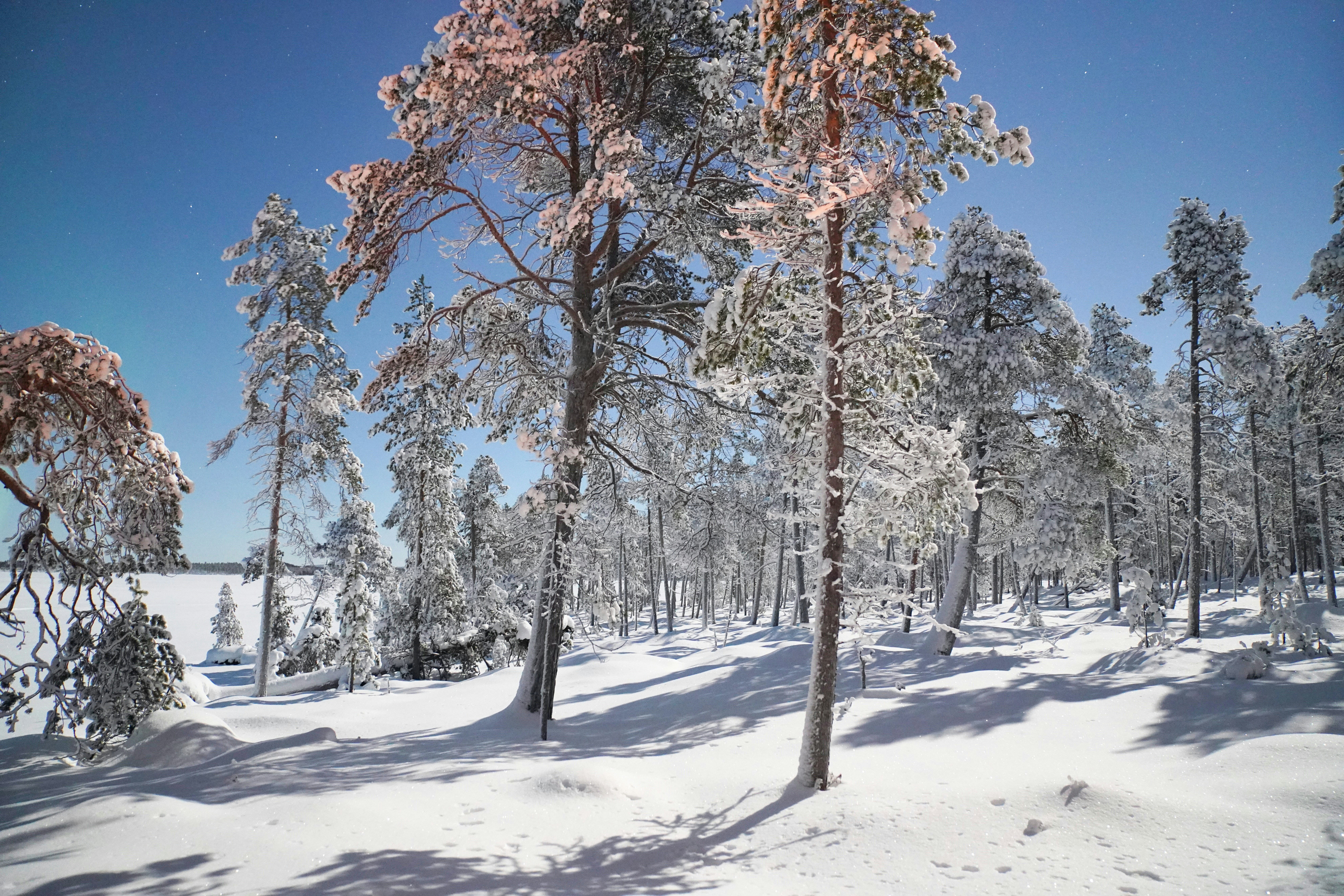 Photo by datingjungle