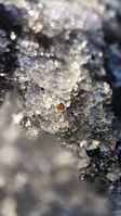 Close-up of melting ice with a textured crystalline structure, exhibiting transparency and reflective qualities with some embedded debris.
