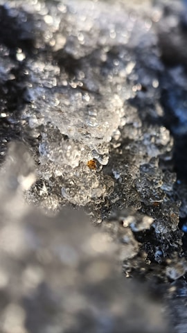 Close-up of melting ice with a textured crystalline structure, exhibiting transparency and reflective qualities with some embedded debris.