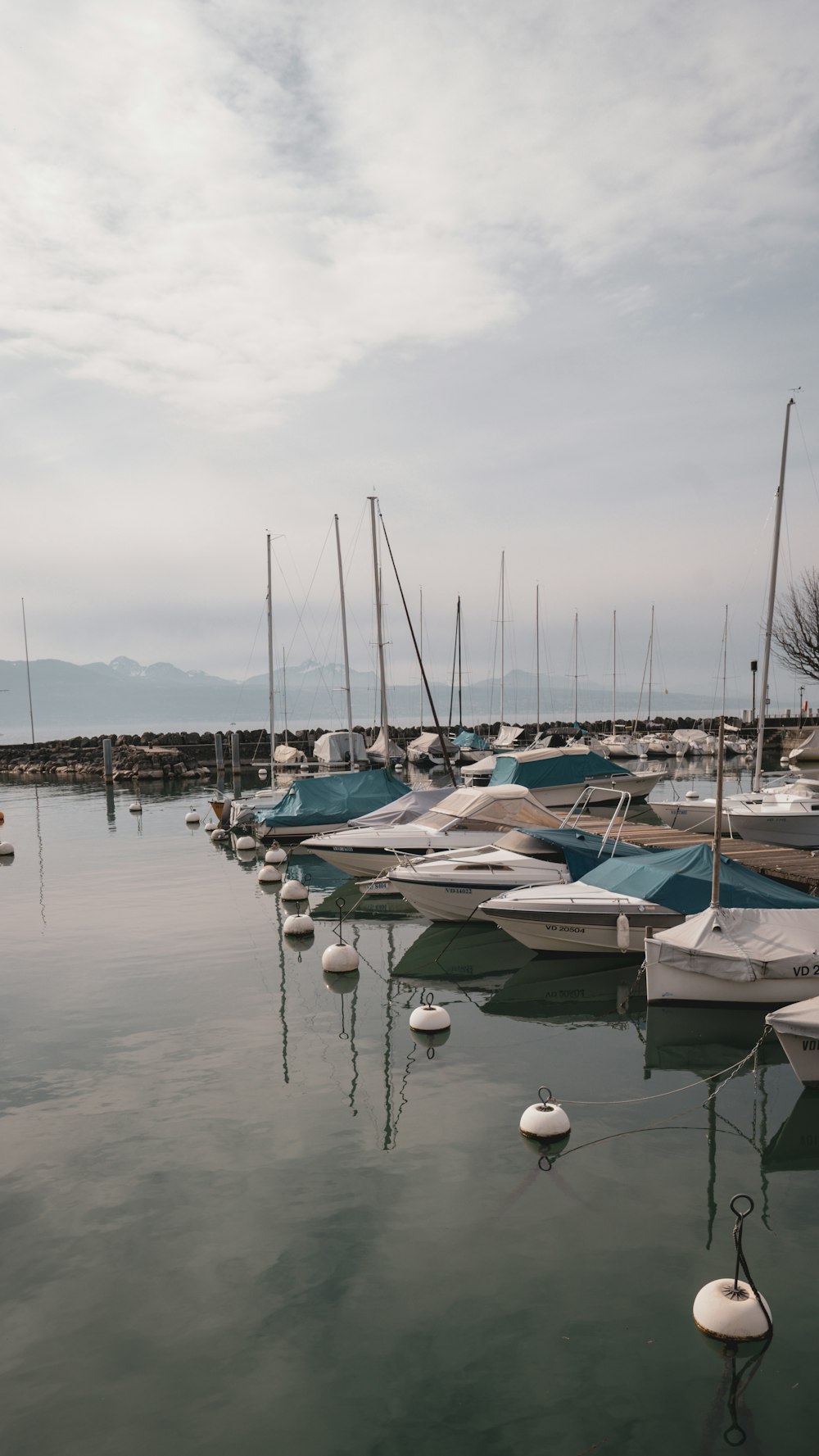 a bunch of boats that are in the water