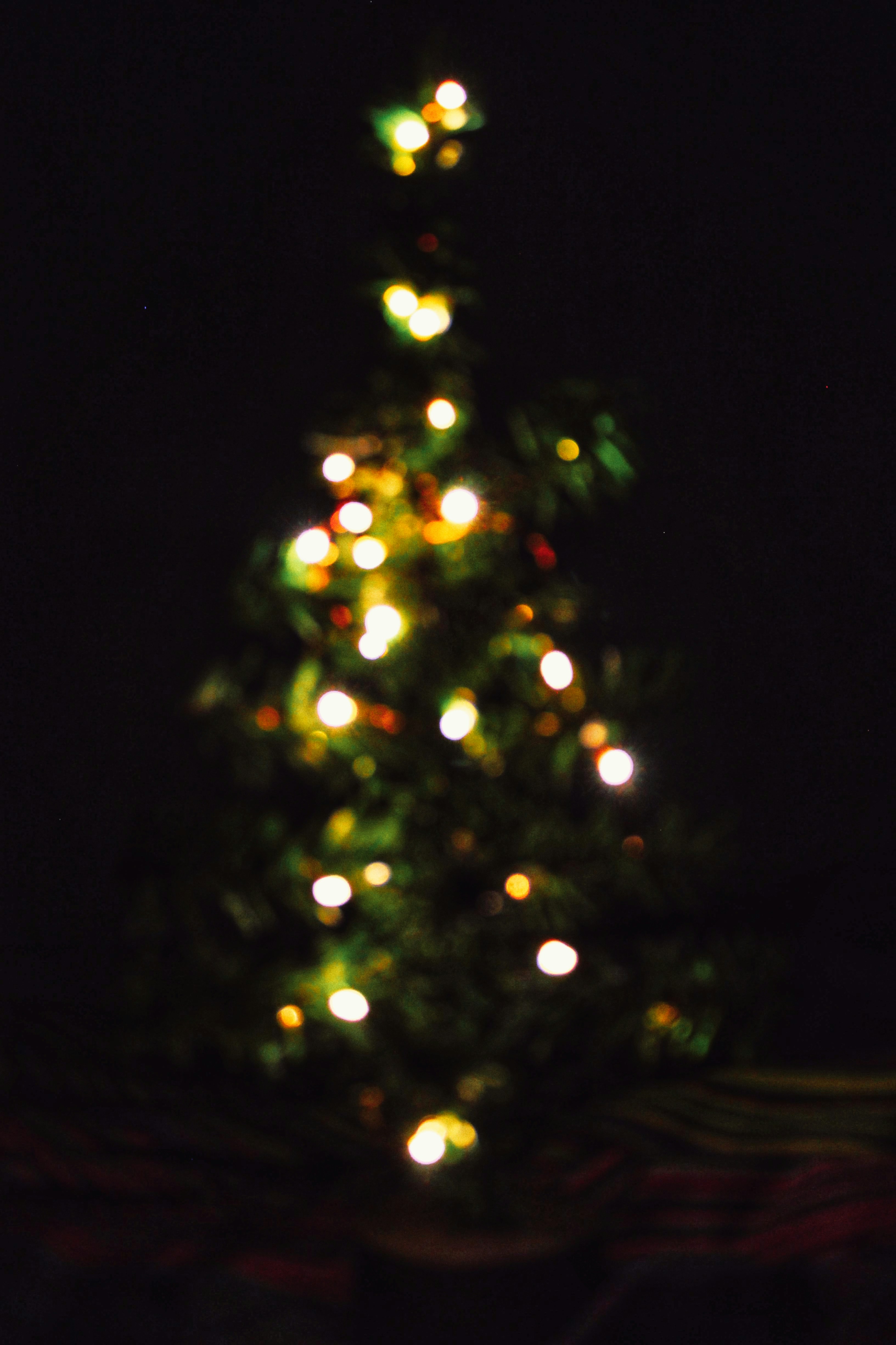 Photo by joylynn_goh