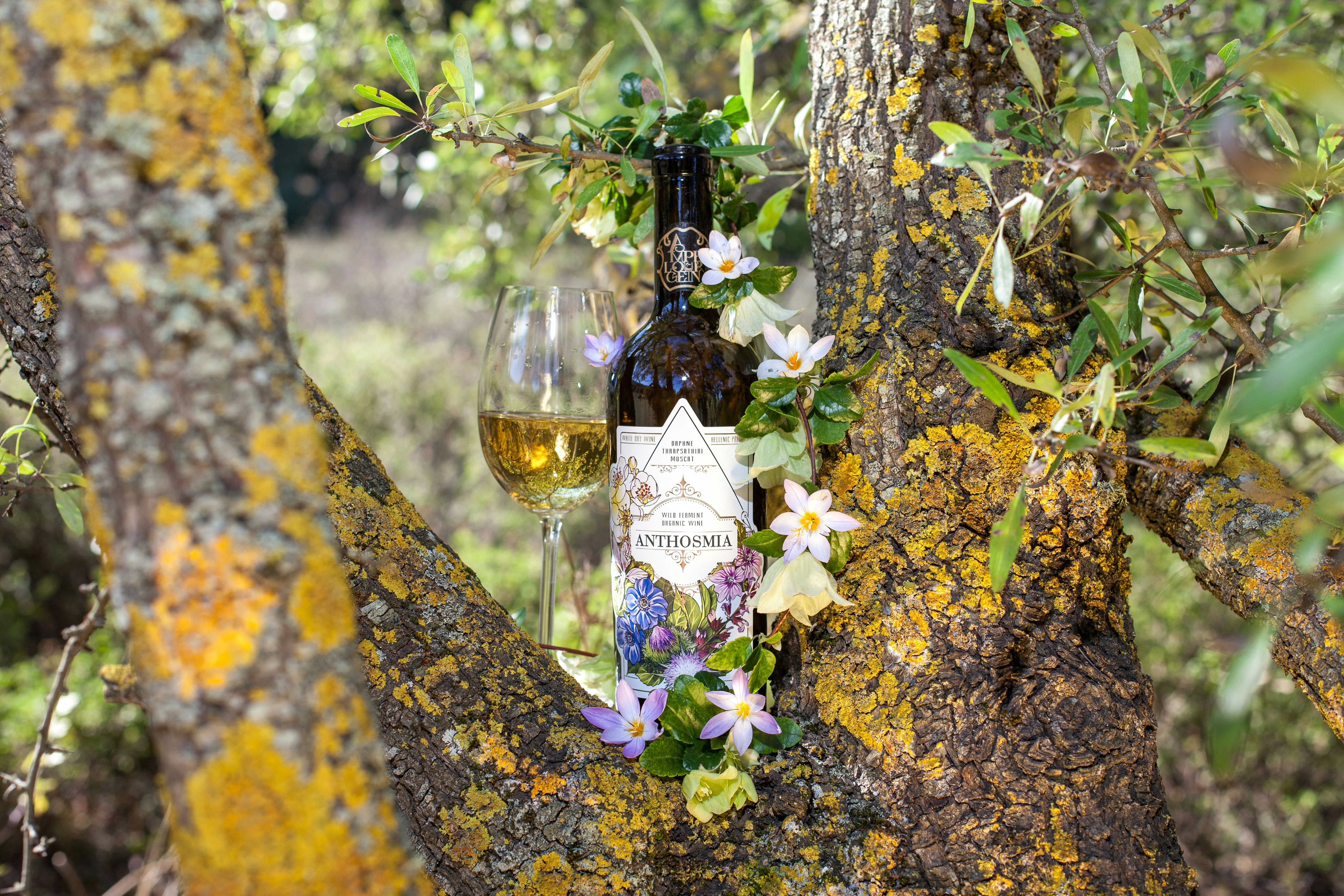 Free Greece Image on Unsplash