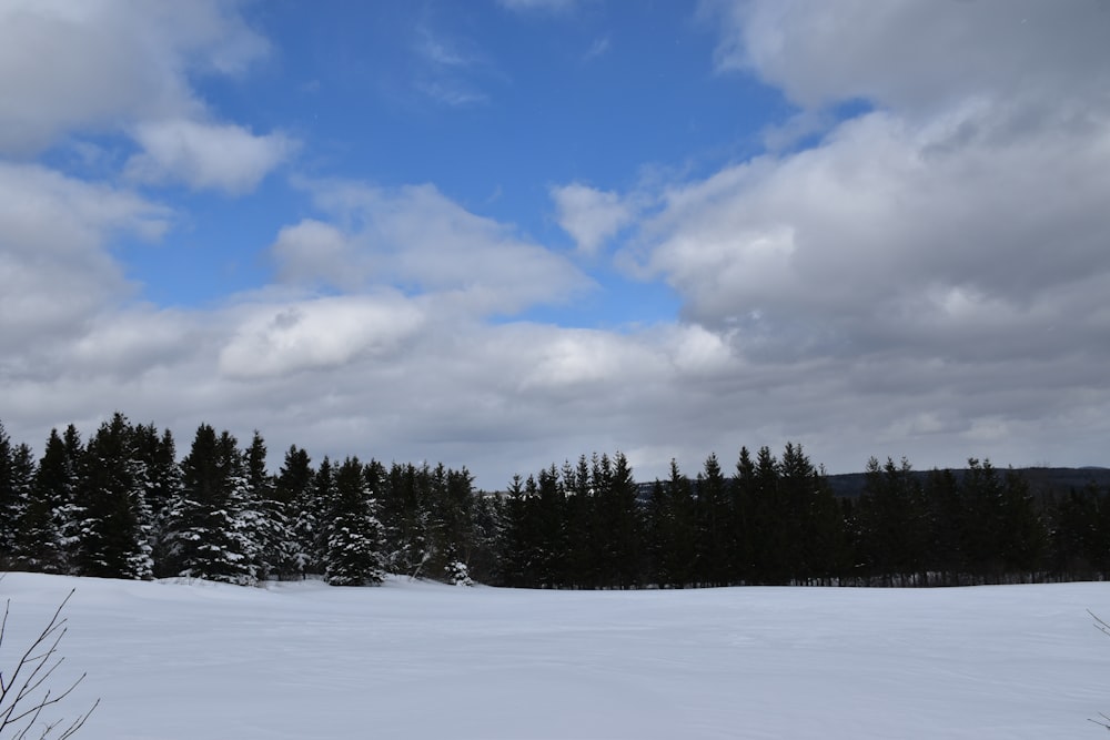Un campo cubierto de nieve con árboles al fondo