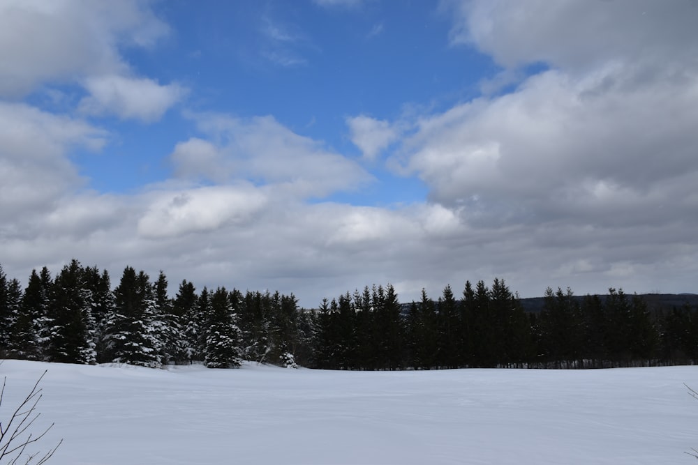 a snow covered field with trees in the background