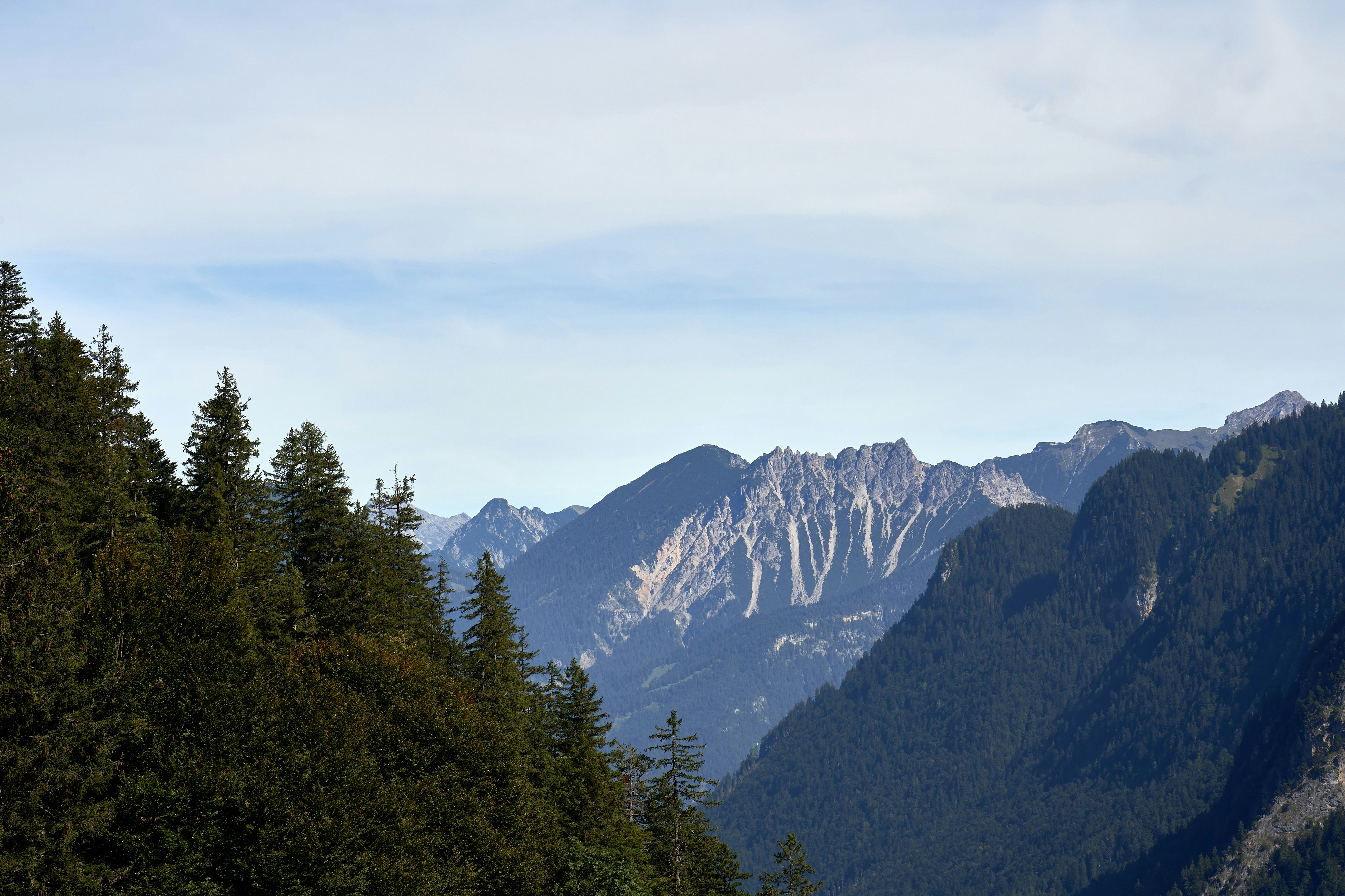 Photo by wolfgang_hasselmann