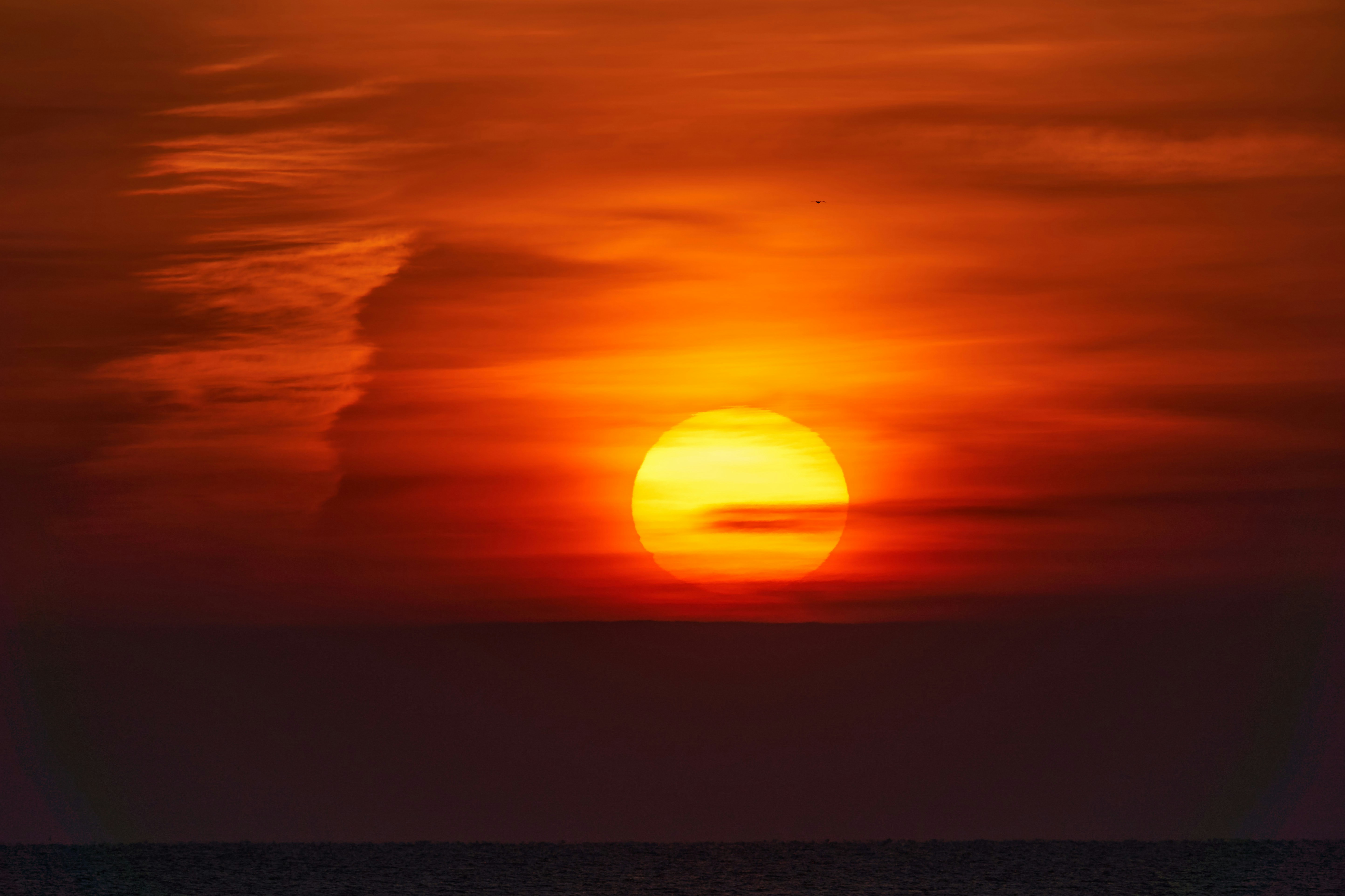 Photo by wolfgang_hasselmann