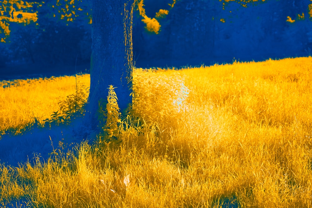 a blue and yellow photo of a tree in a field