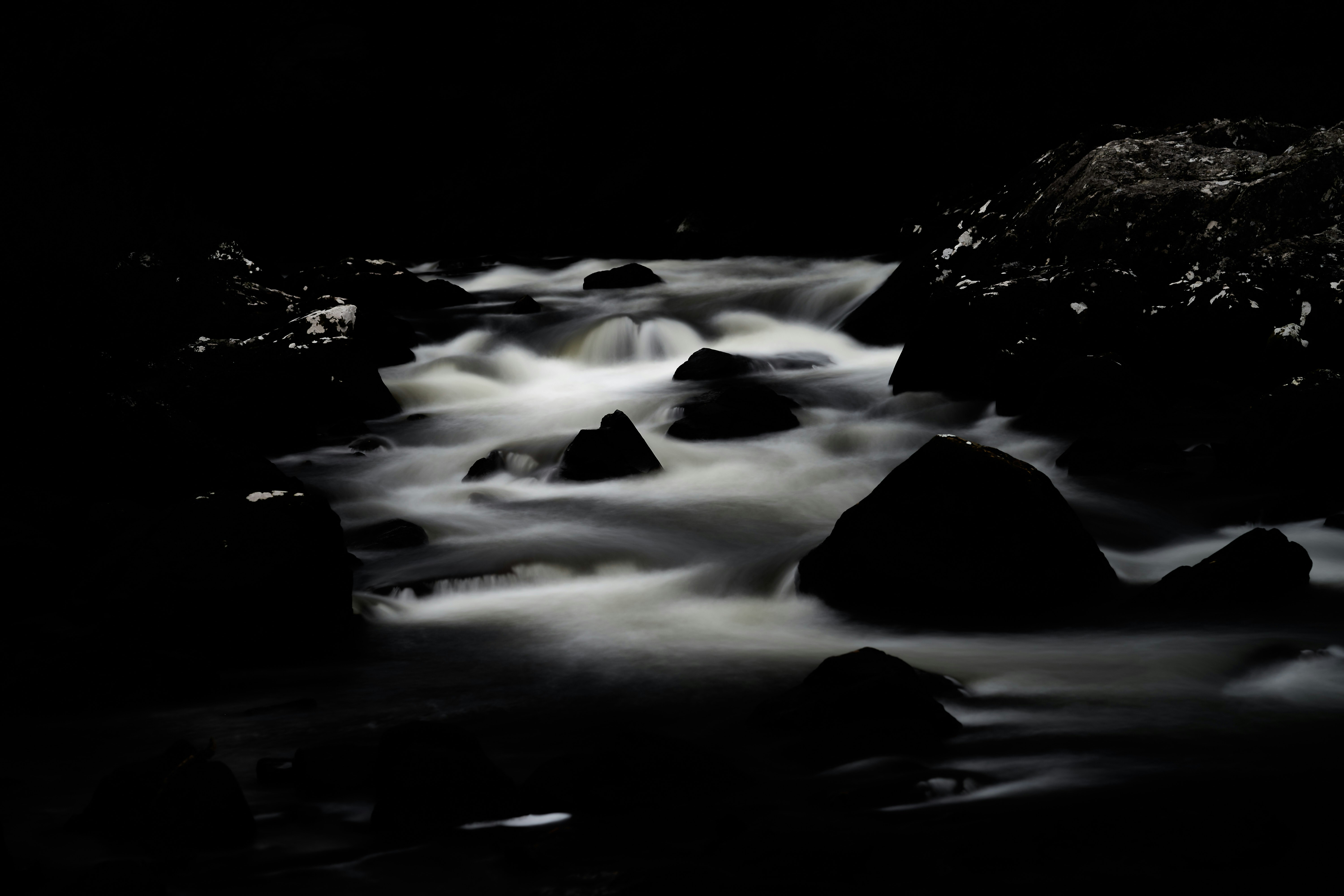 Photo by wolfgang_hasselmann