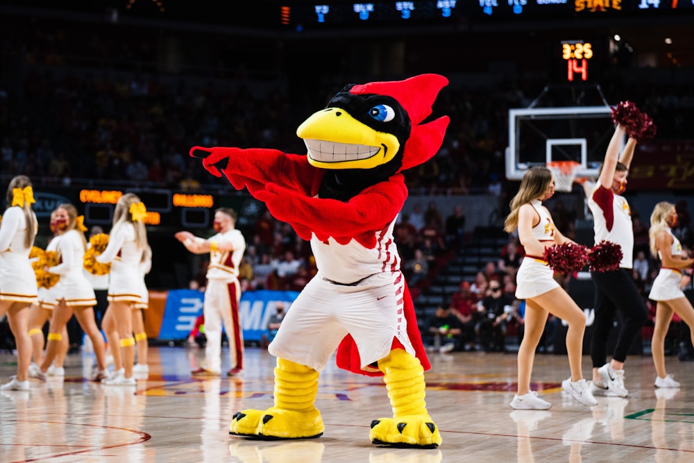 a group of cheerleaders perform on a basketball court