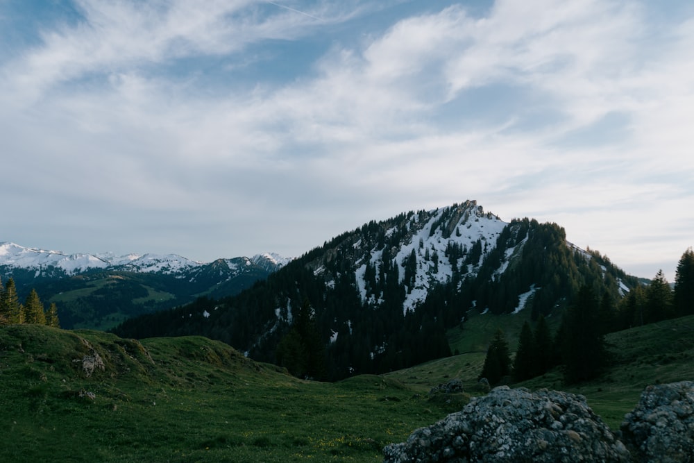 a grassy field with a mountain in the background