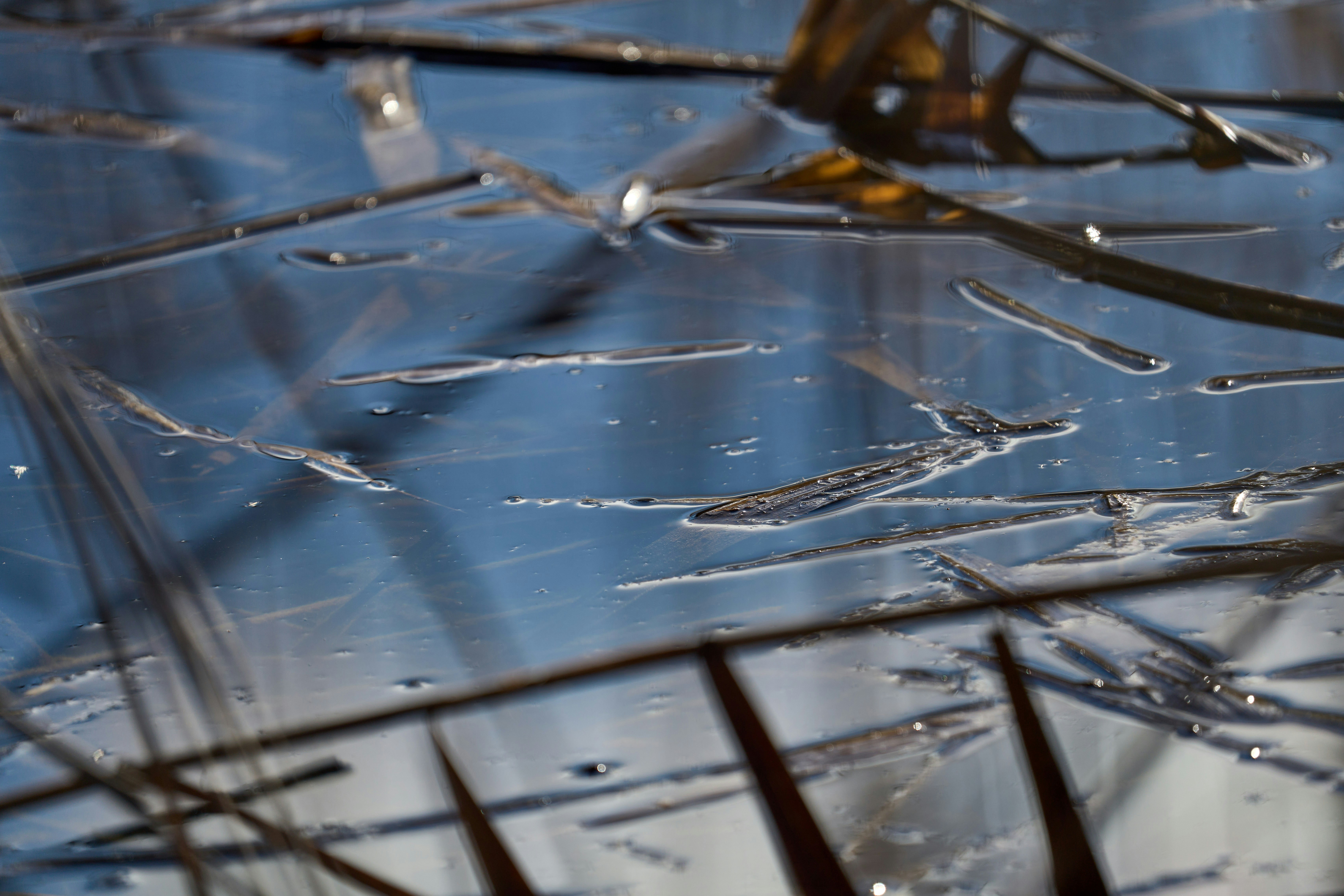 Photo by wolfgang_hasselmann