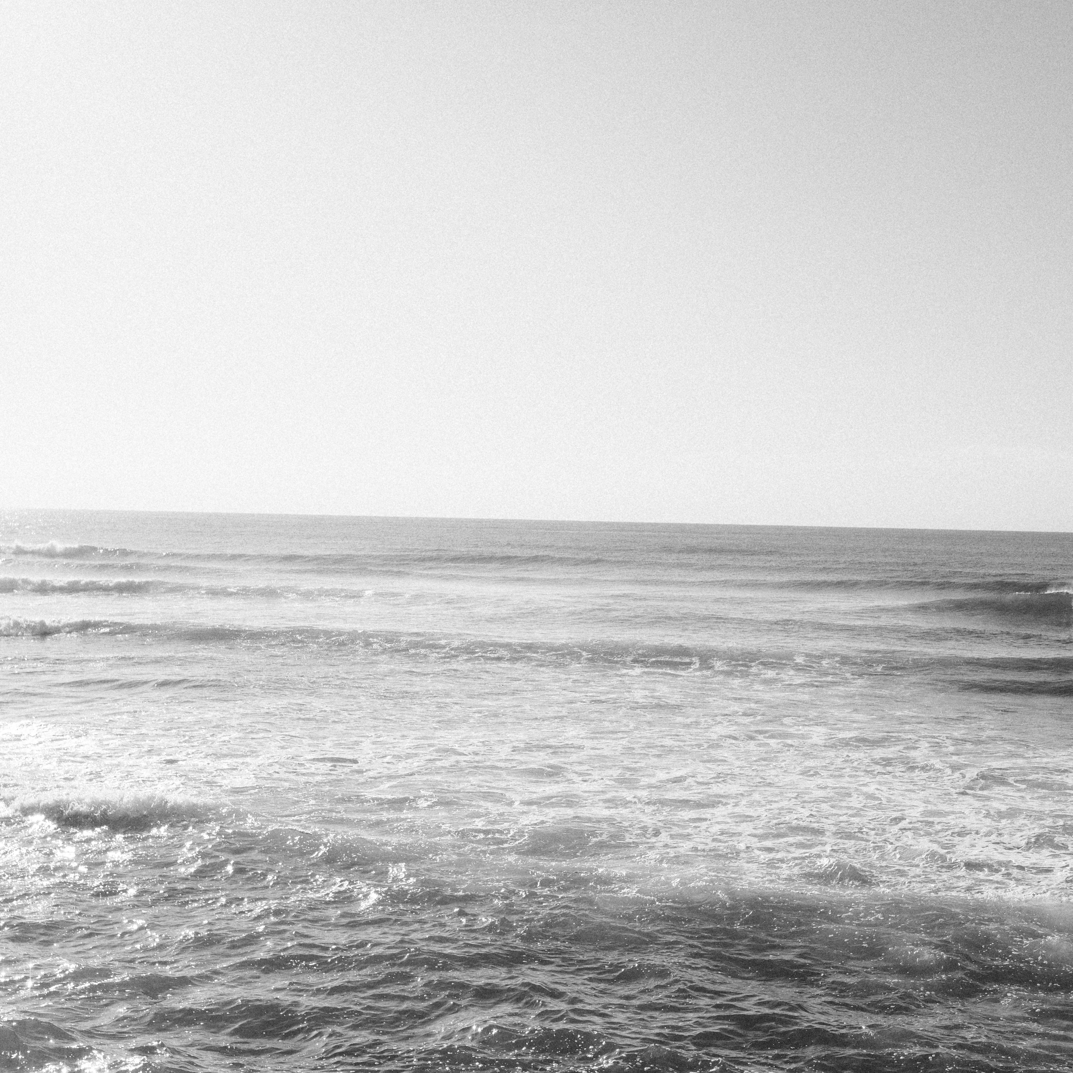 Photo by luisperezphoto