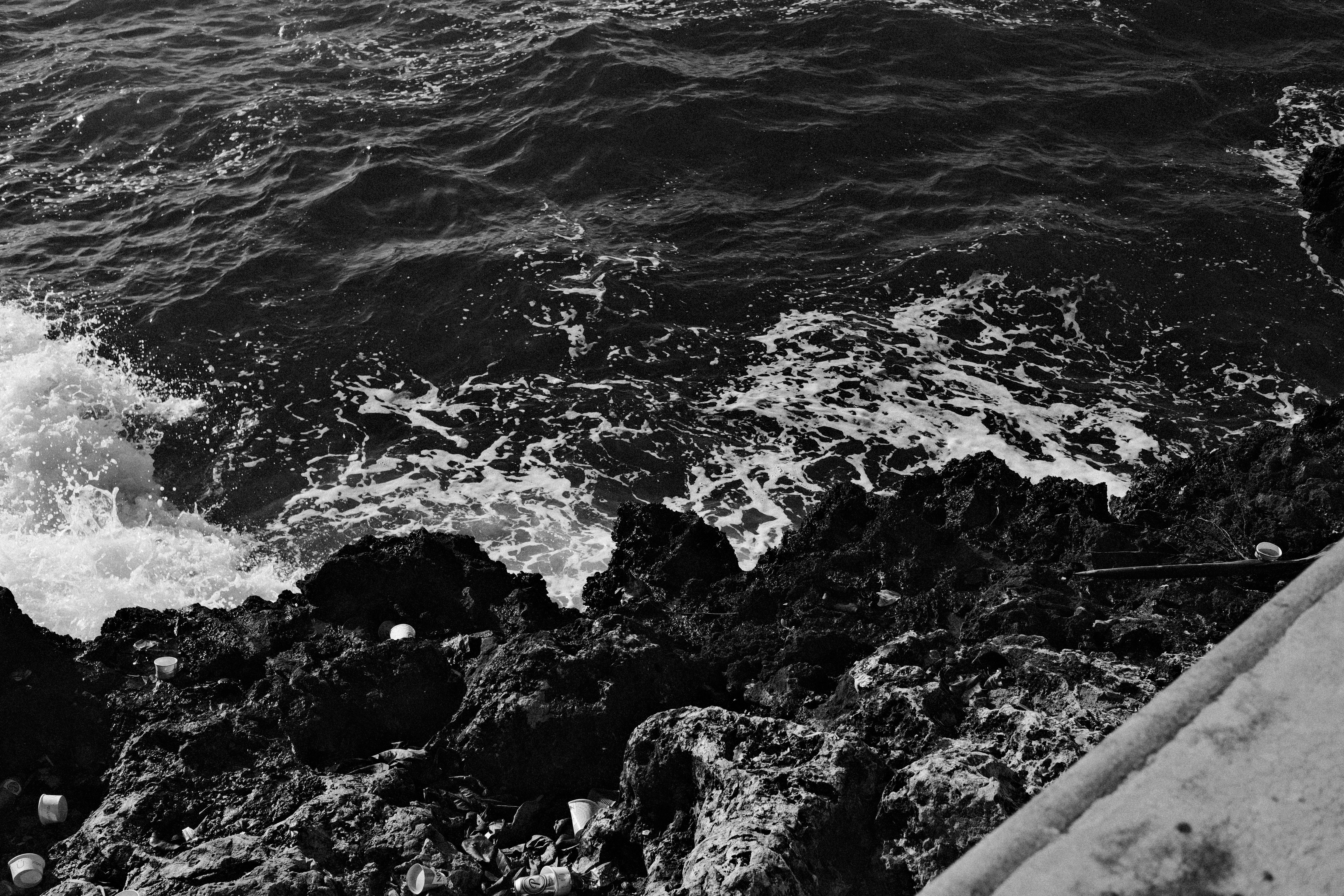 Photo by luisperezphoto