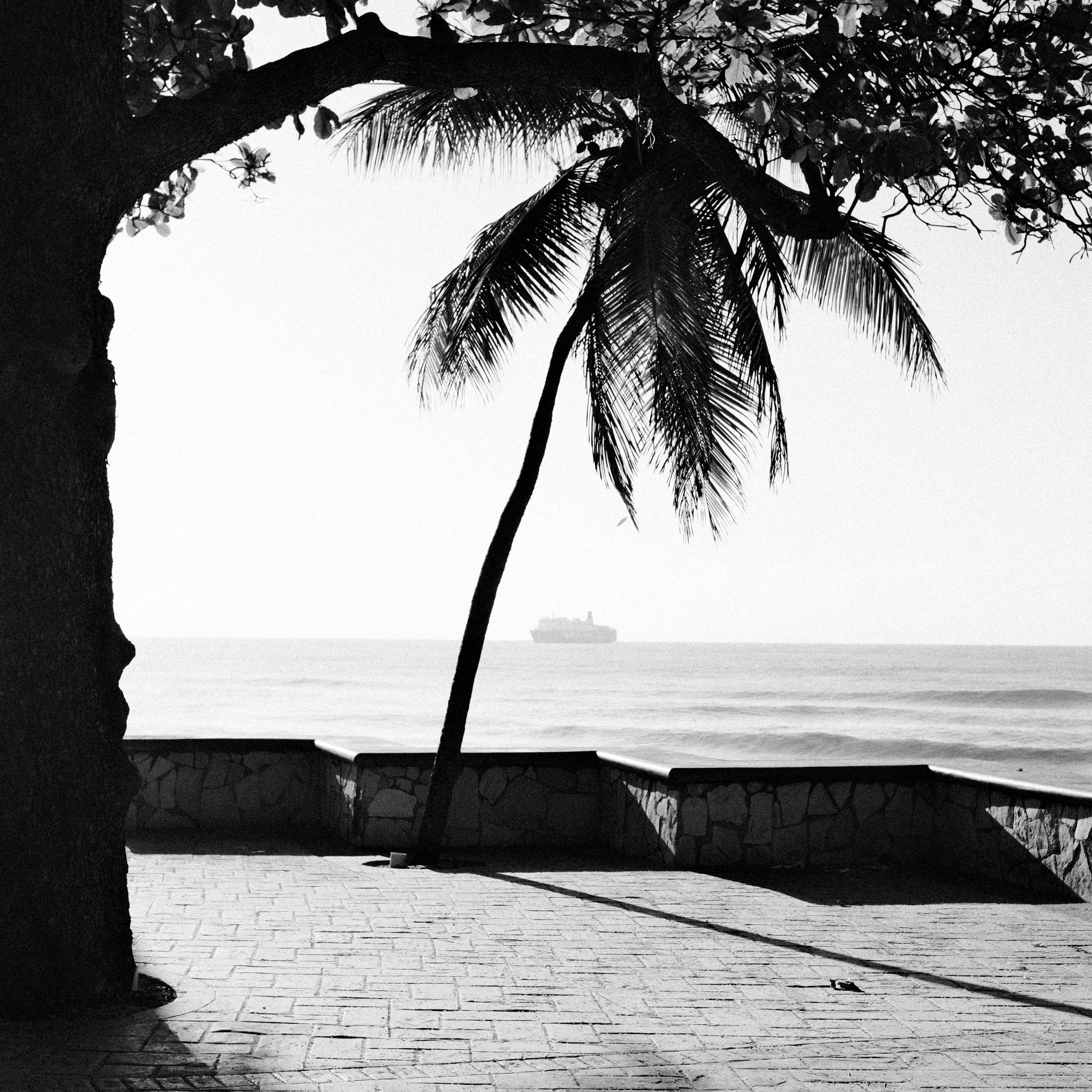 Photo by luisperezphoto