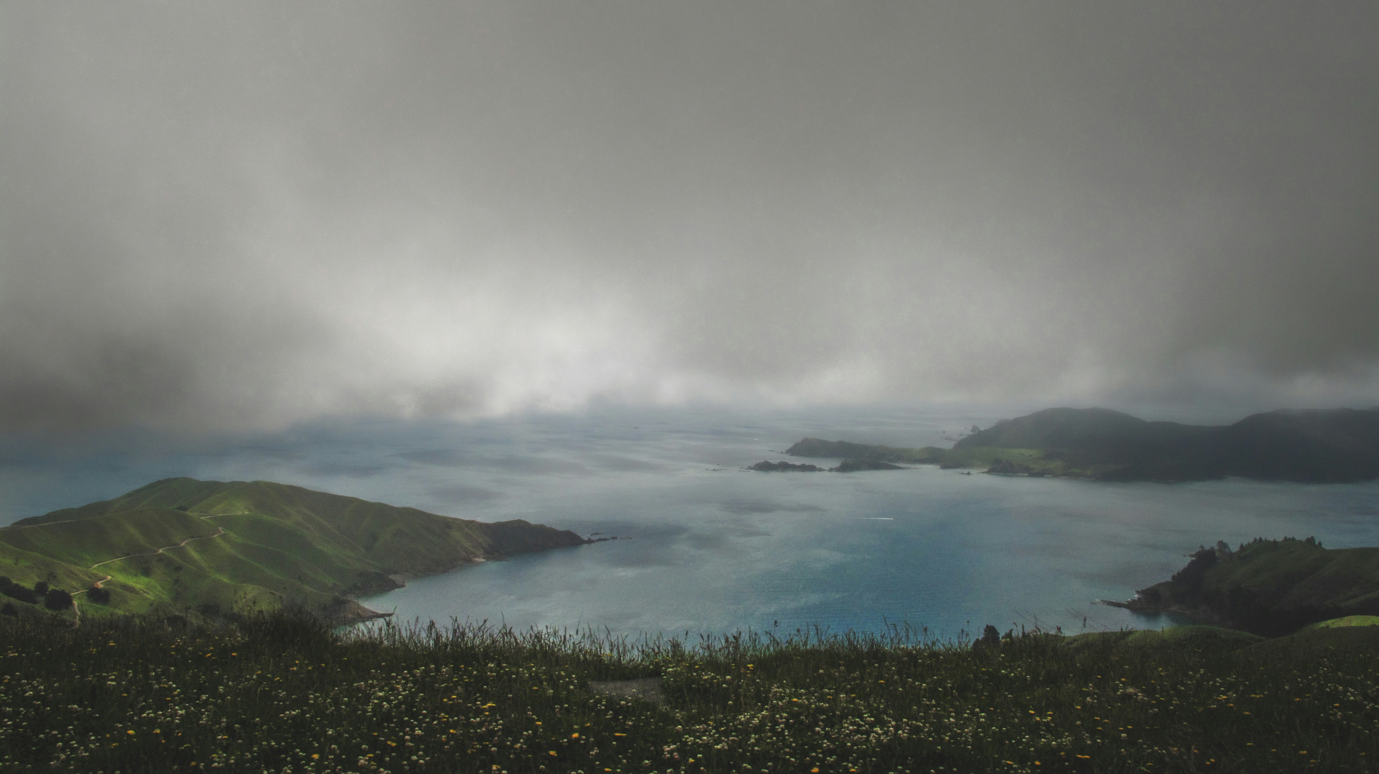 Photo by francesco_ungaro