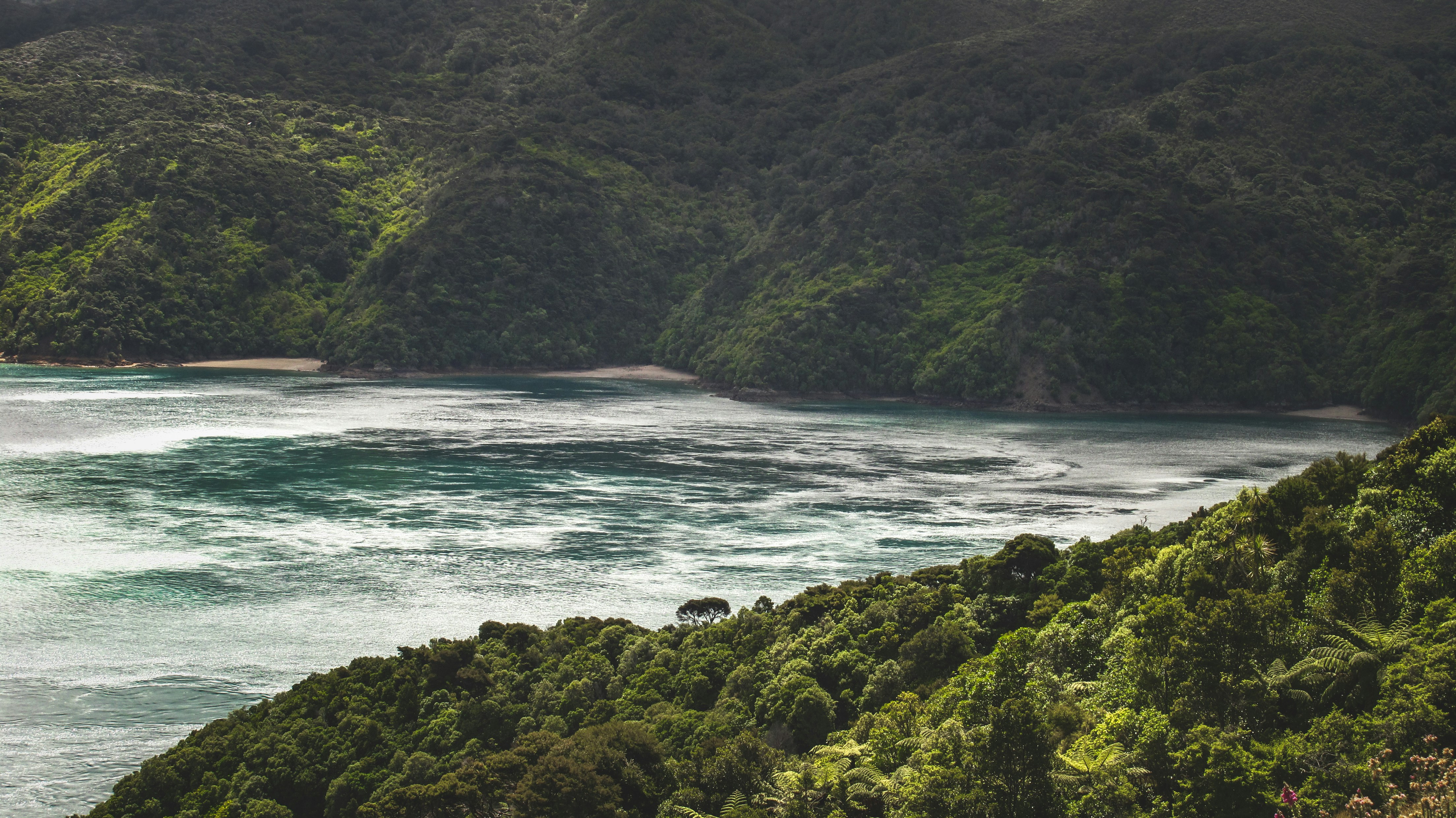 Photo by francesco_ungaro