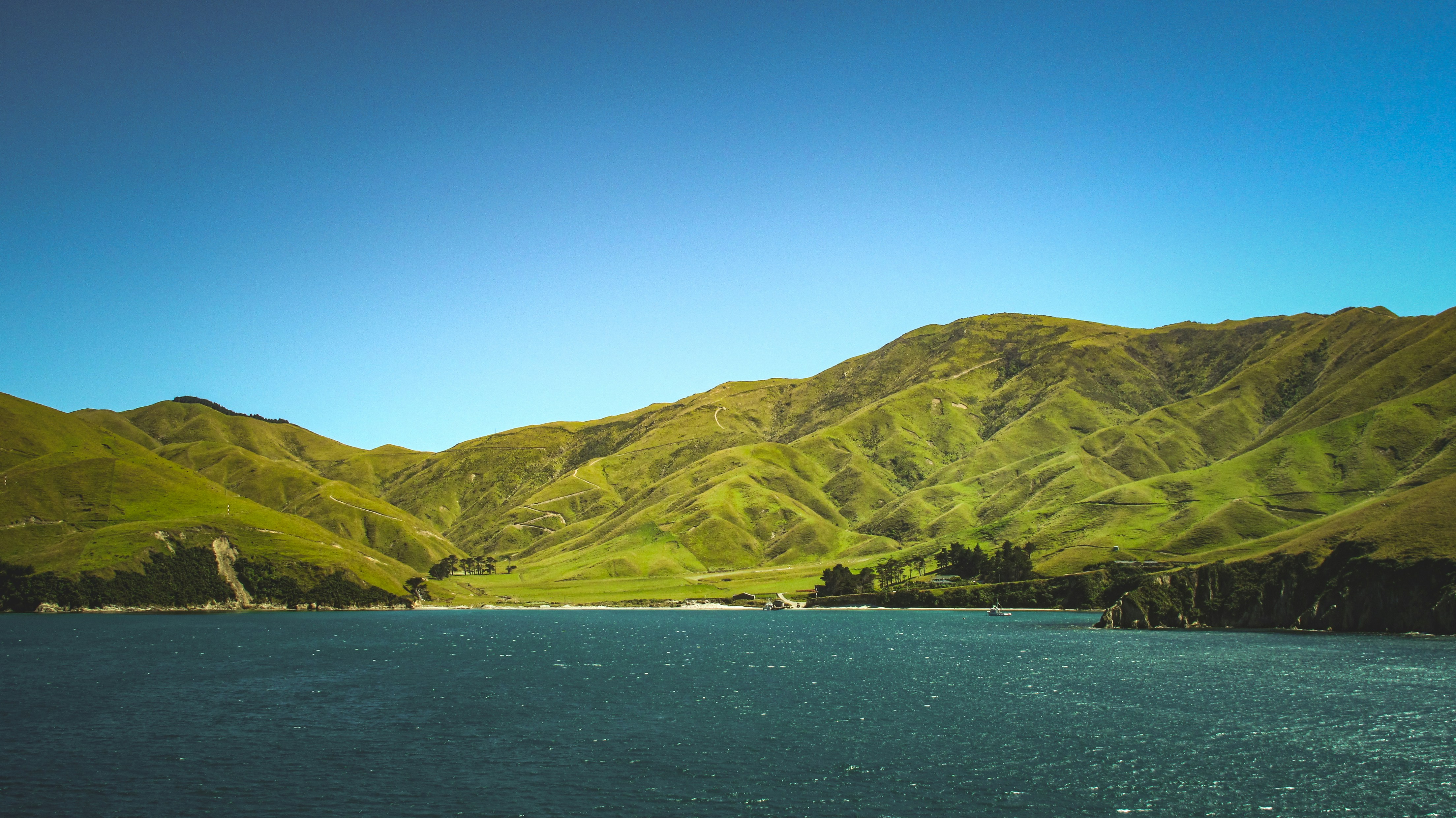 Photo by francesco_ungaro