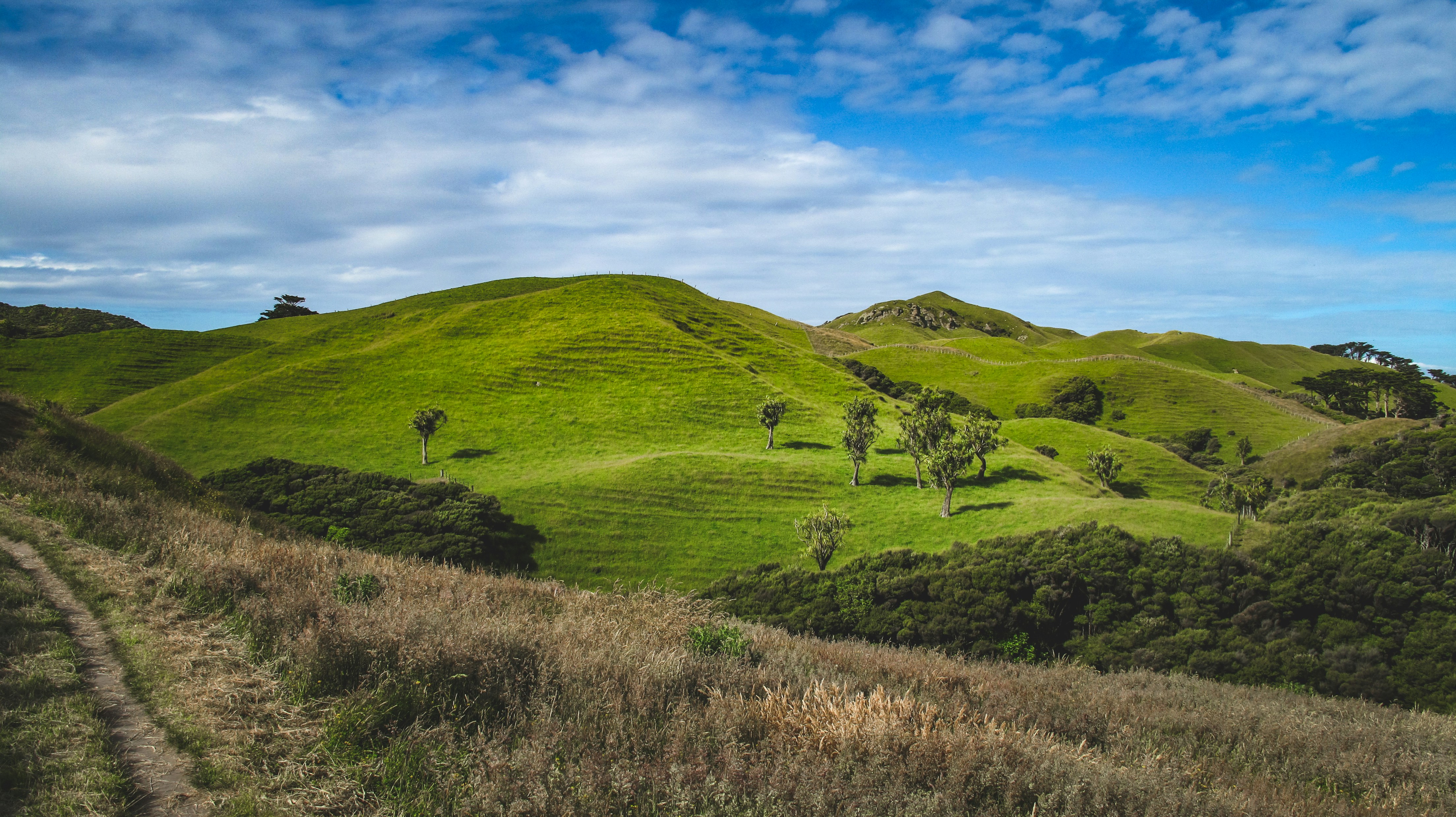 Photo by francesco_ungaro