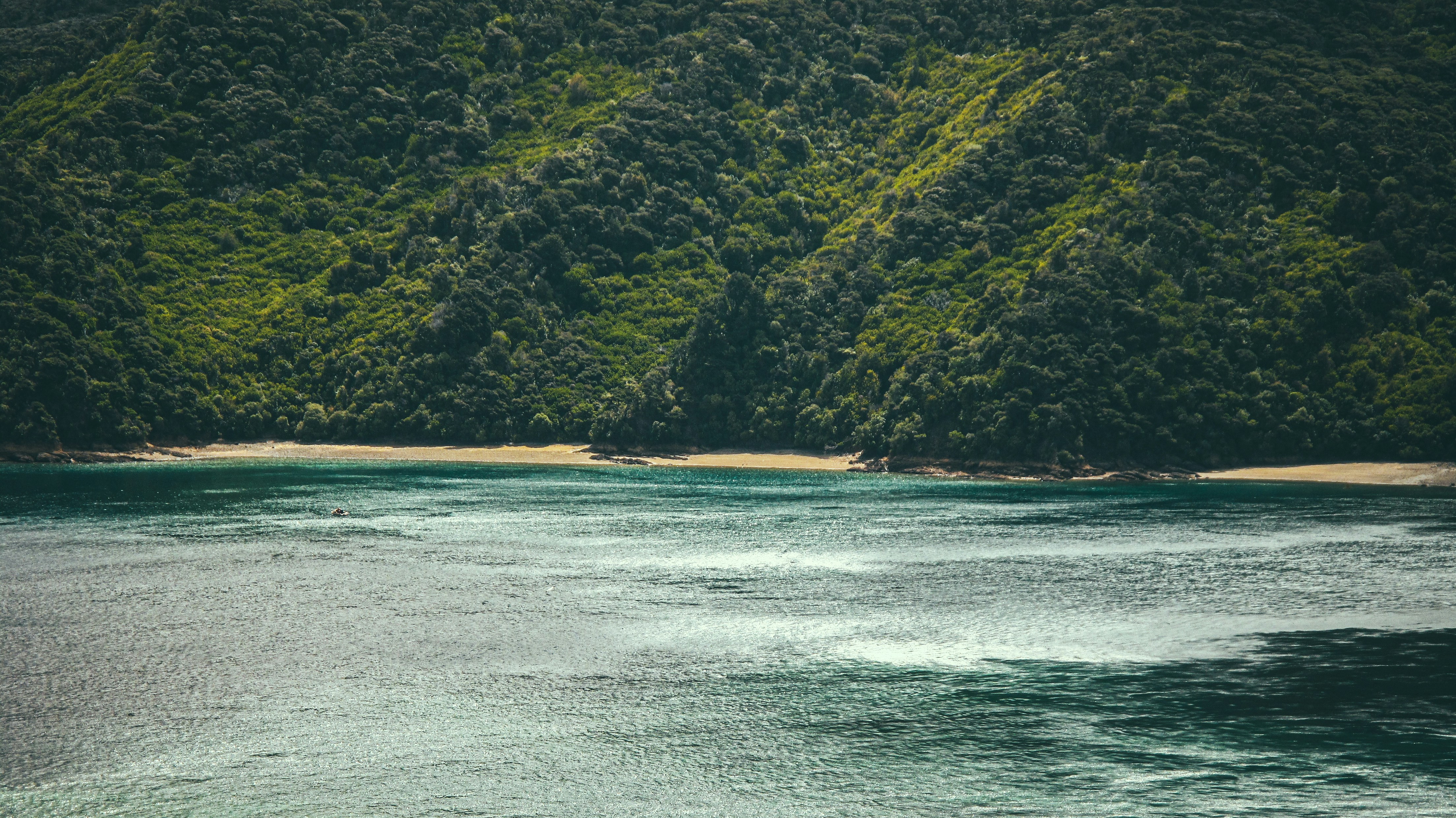 Photo by francesco_ungaro