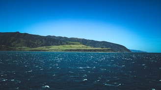 Approaching New Zealand’s coastline, the first glimpse of land bringing anticipation and pride.