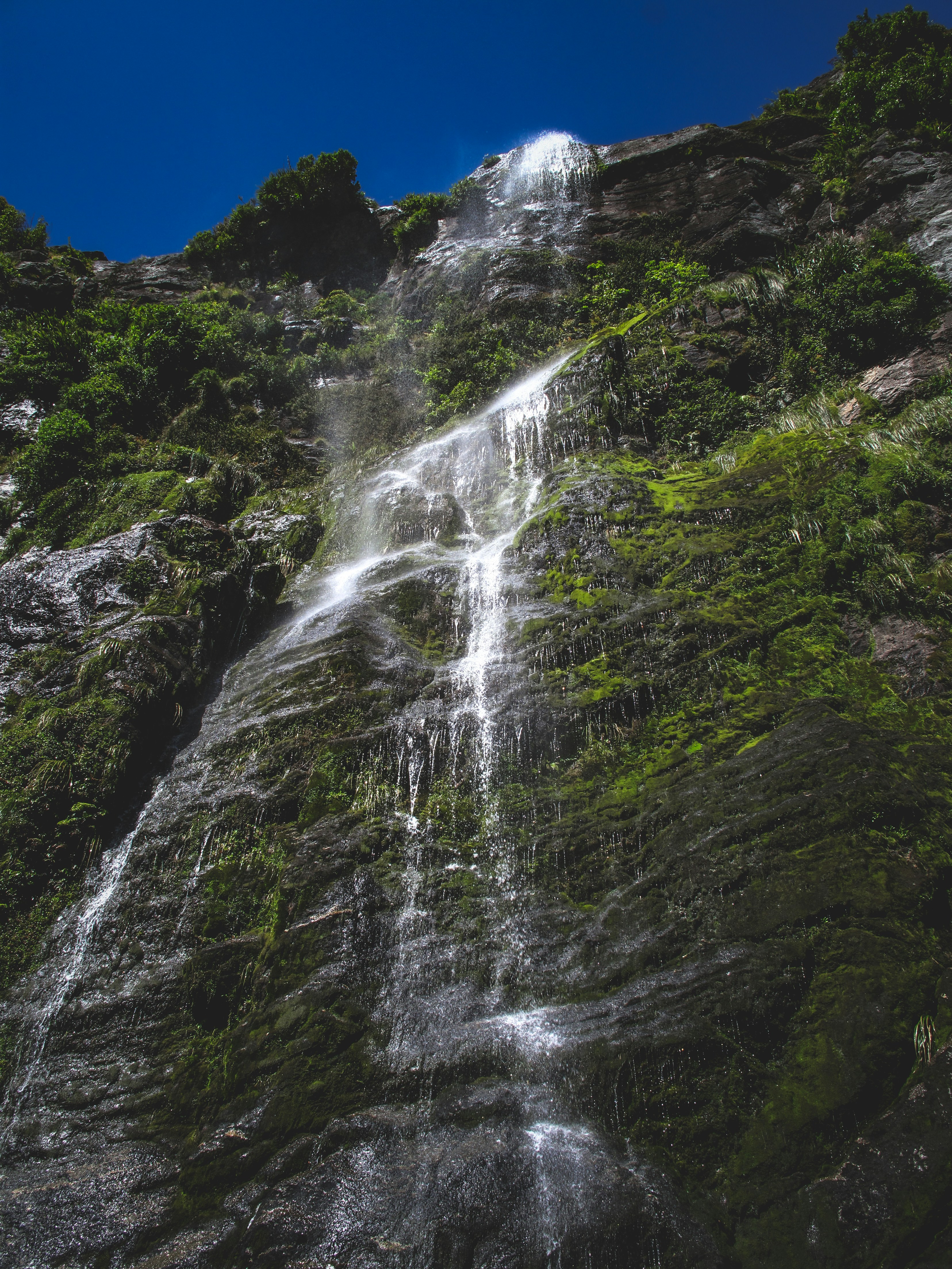 Photo by francesco_ungaro