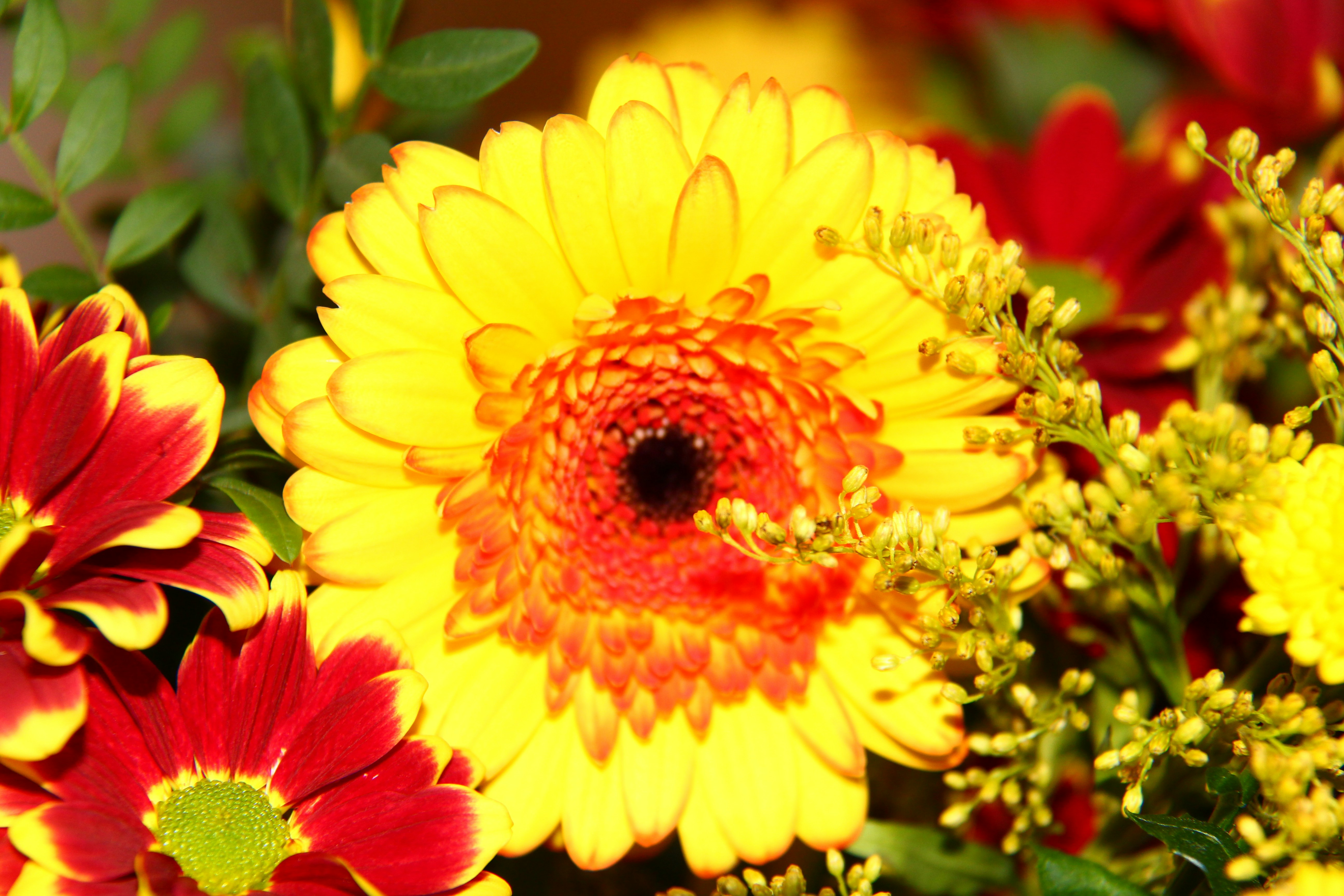 Happy Saturday Morning Wishes — Sunshine, Smiles & Love