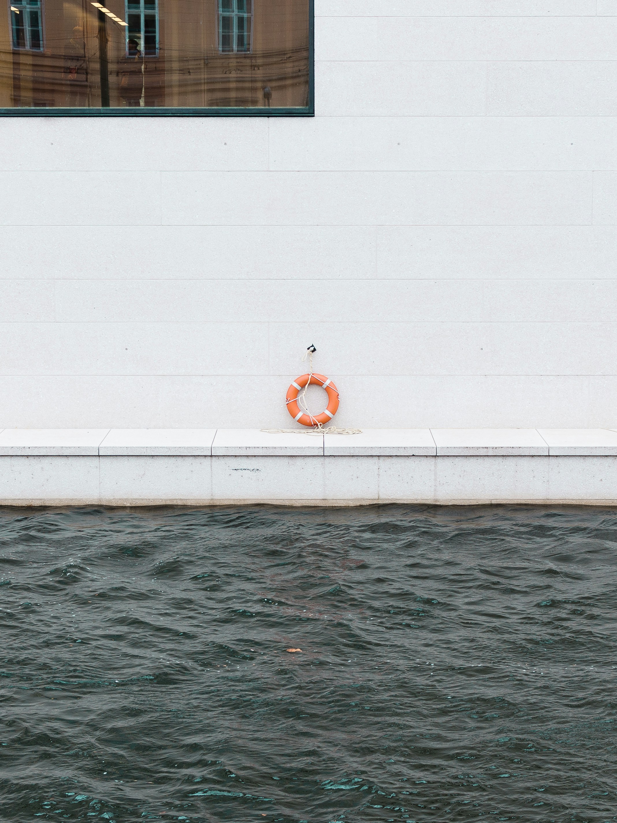 a life preserver sitting on the edge of a body of water