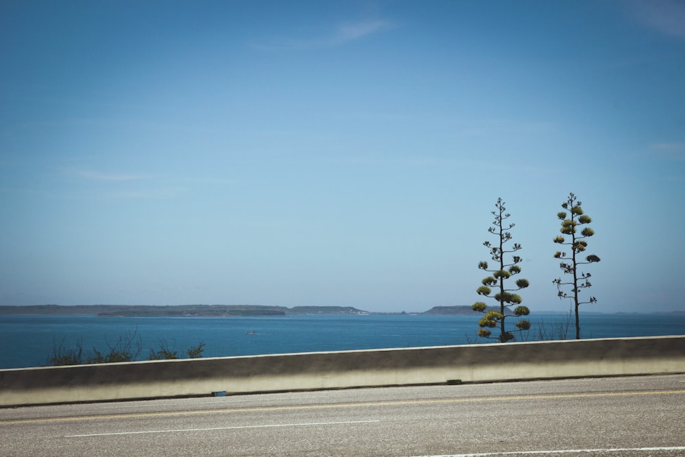 Blick auf ein Gewässer von einer Autobahn aus