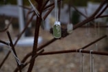 Close-up of dog tags hanging on a weathered wooden post.