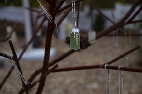 Dog tags are hanging from the branches of a bare tree, creating a poignant memorial-like setting. The background features a blurred, neutral-toned landscape, adding to the somber ambiance.