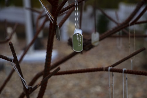 Close-up of dog tags hanging on a weathered wooden post.