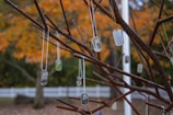 a tree with a bunch of tags hanging from it's branches
