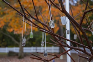 a tree with a bunch of tags hanging from it's branches