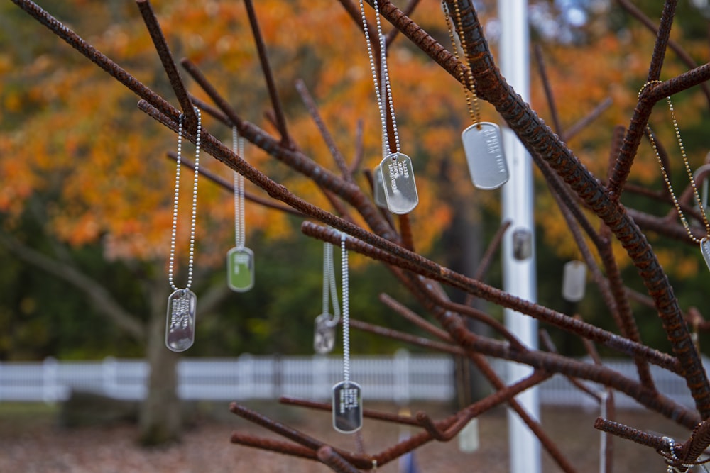 a tree with a bunch of tags hanging from it's branches