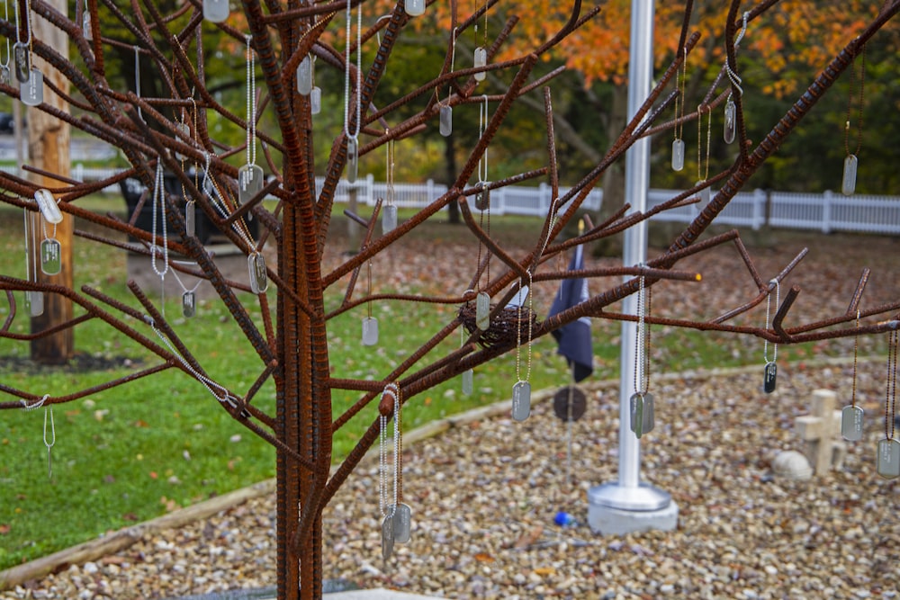 a tree with a bunch of wind chimes hanging from it's branches