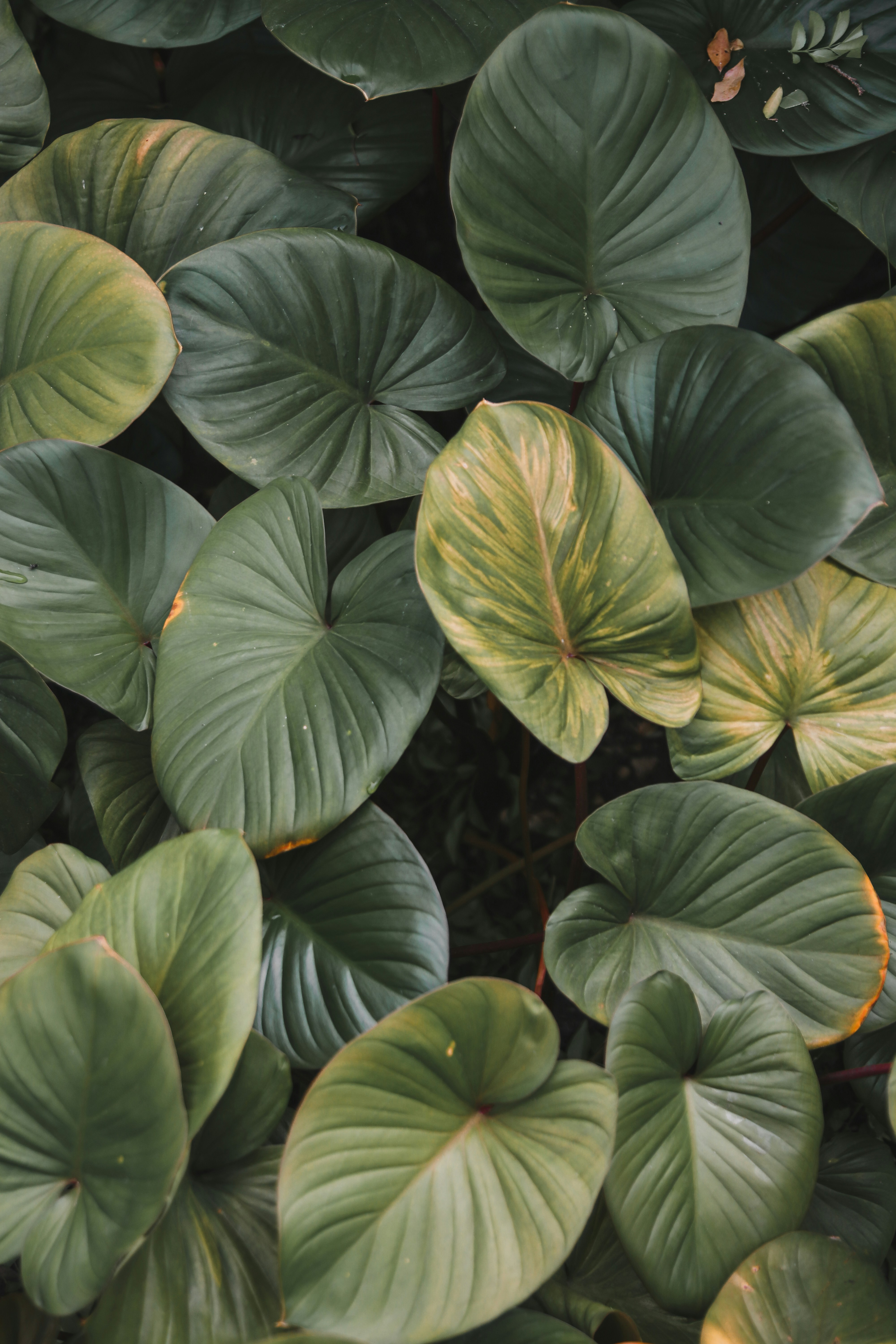 Photo by thuyenphoto