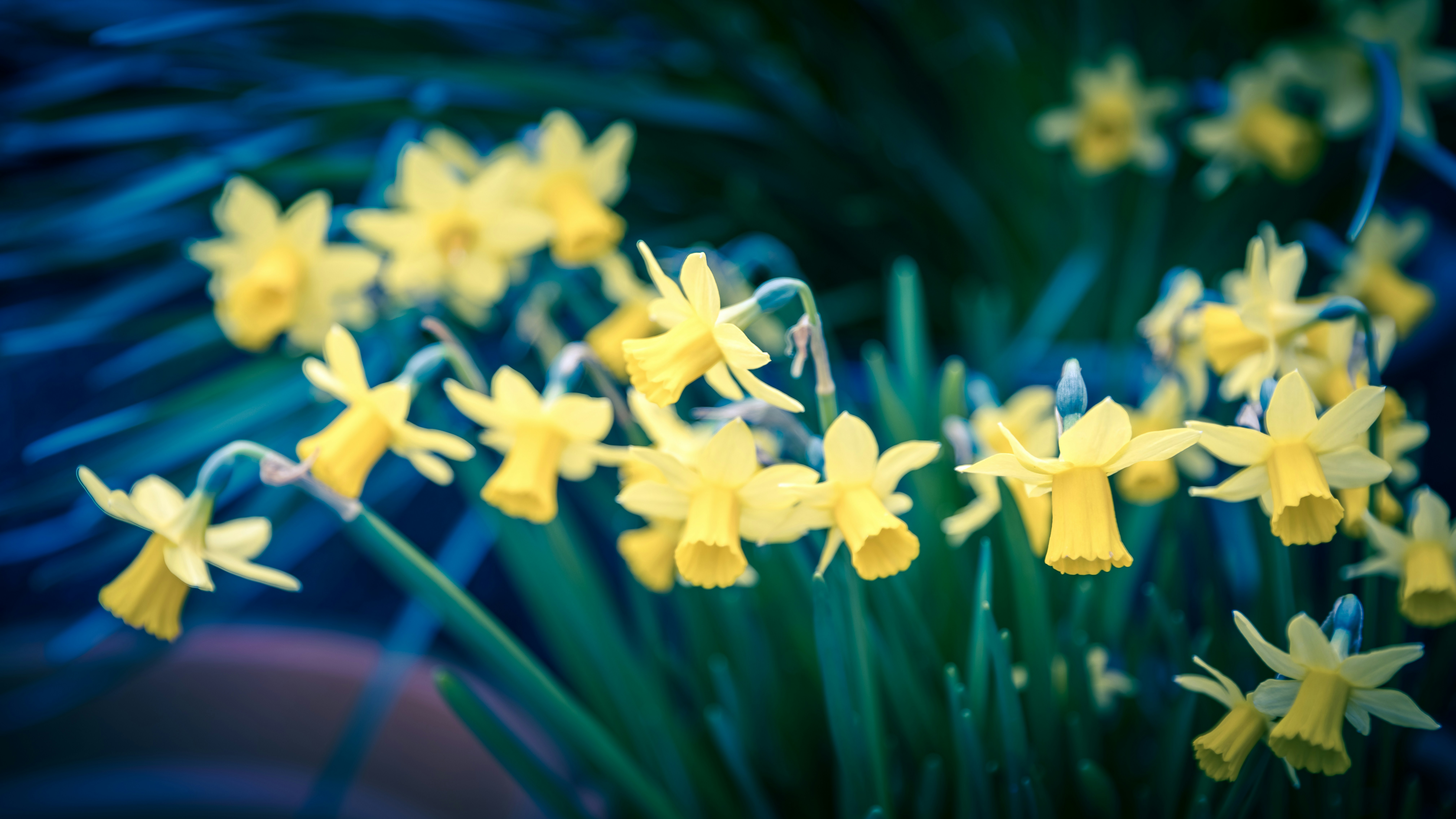 a bunch of flowers that are in a vase