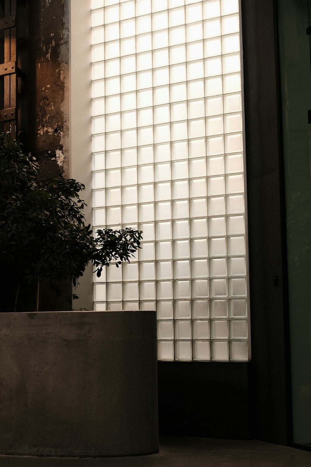 a potted plant sitting in front of a window