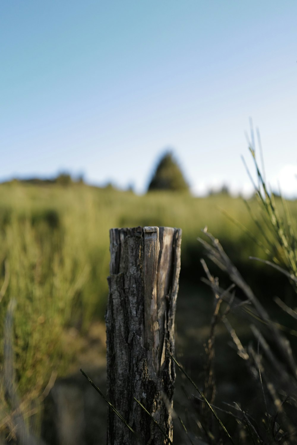 a close up of a wooden post in a field