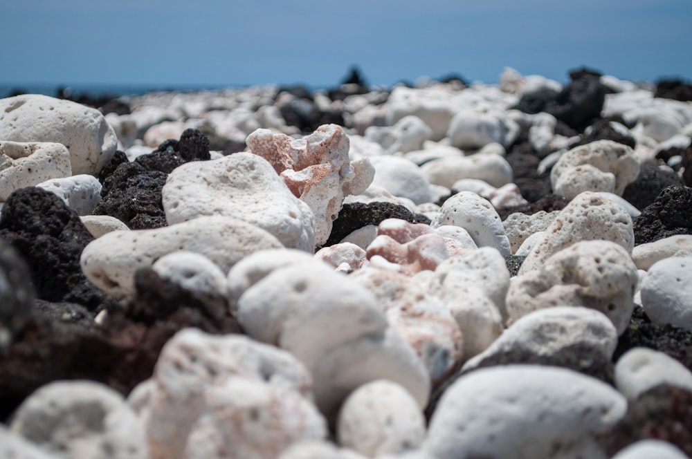 a bunch of rocks that are sitting on the ground