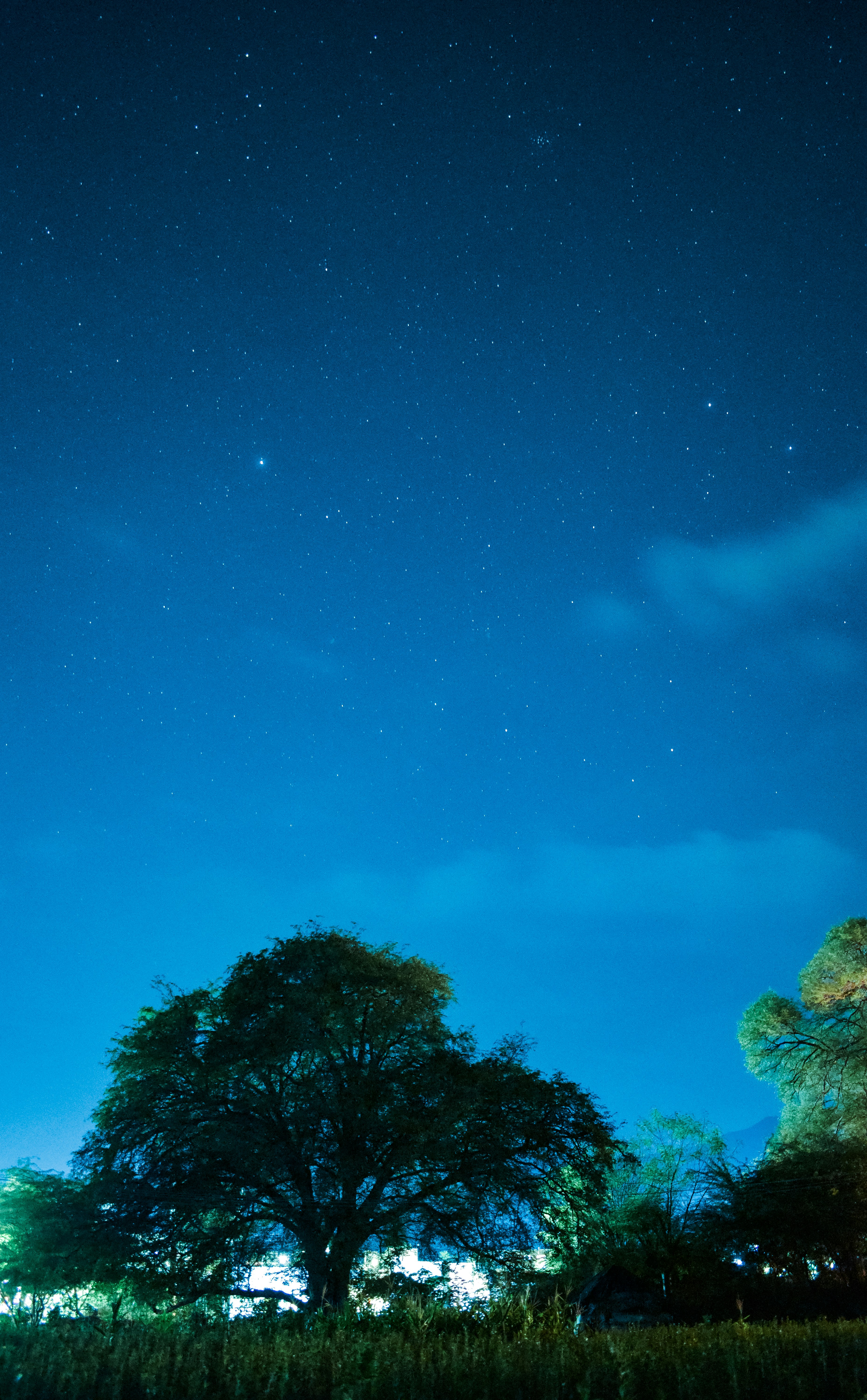 Photo by navi_photography