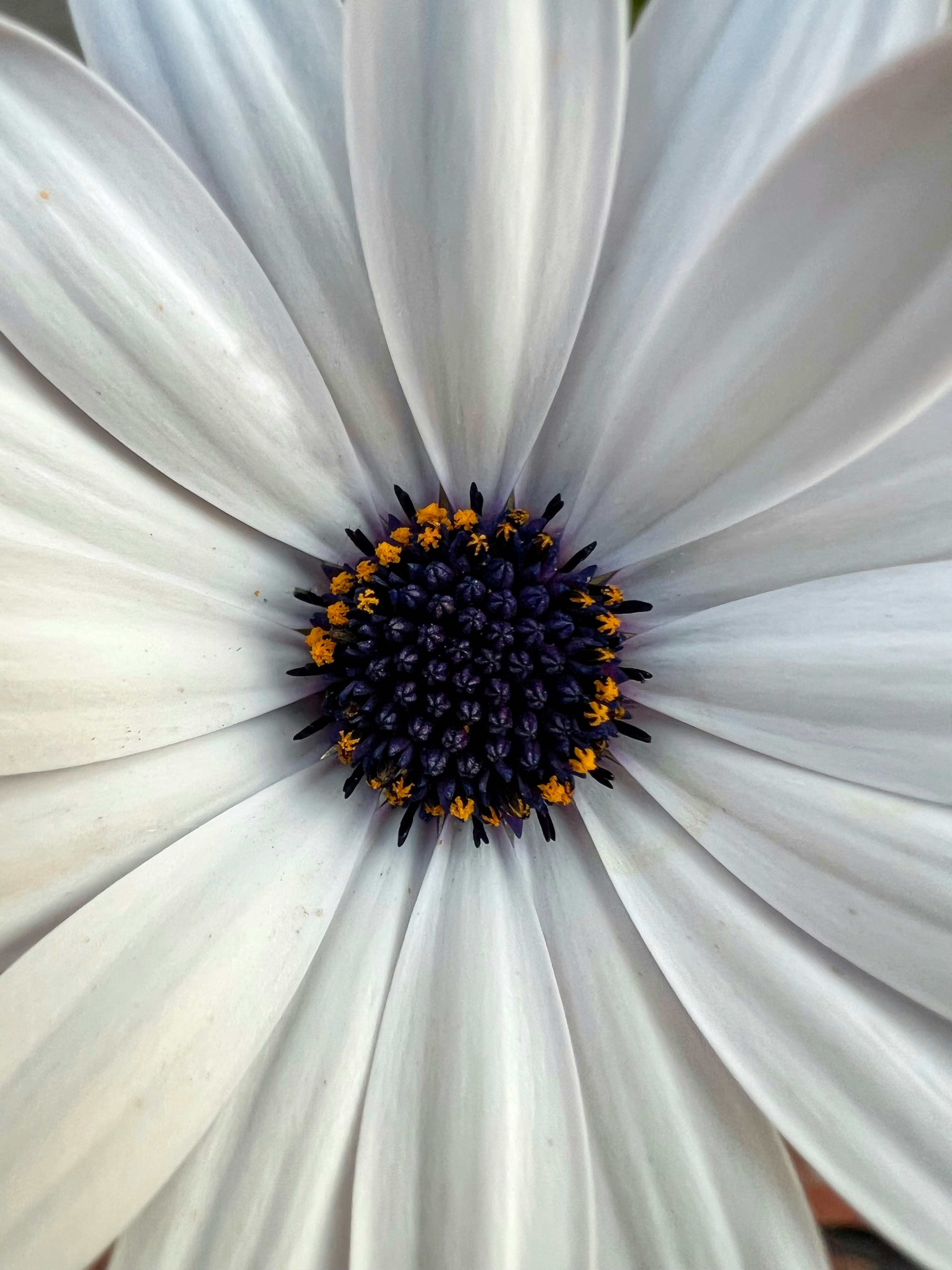 Photo by francescobiancoo