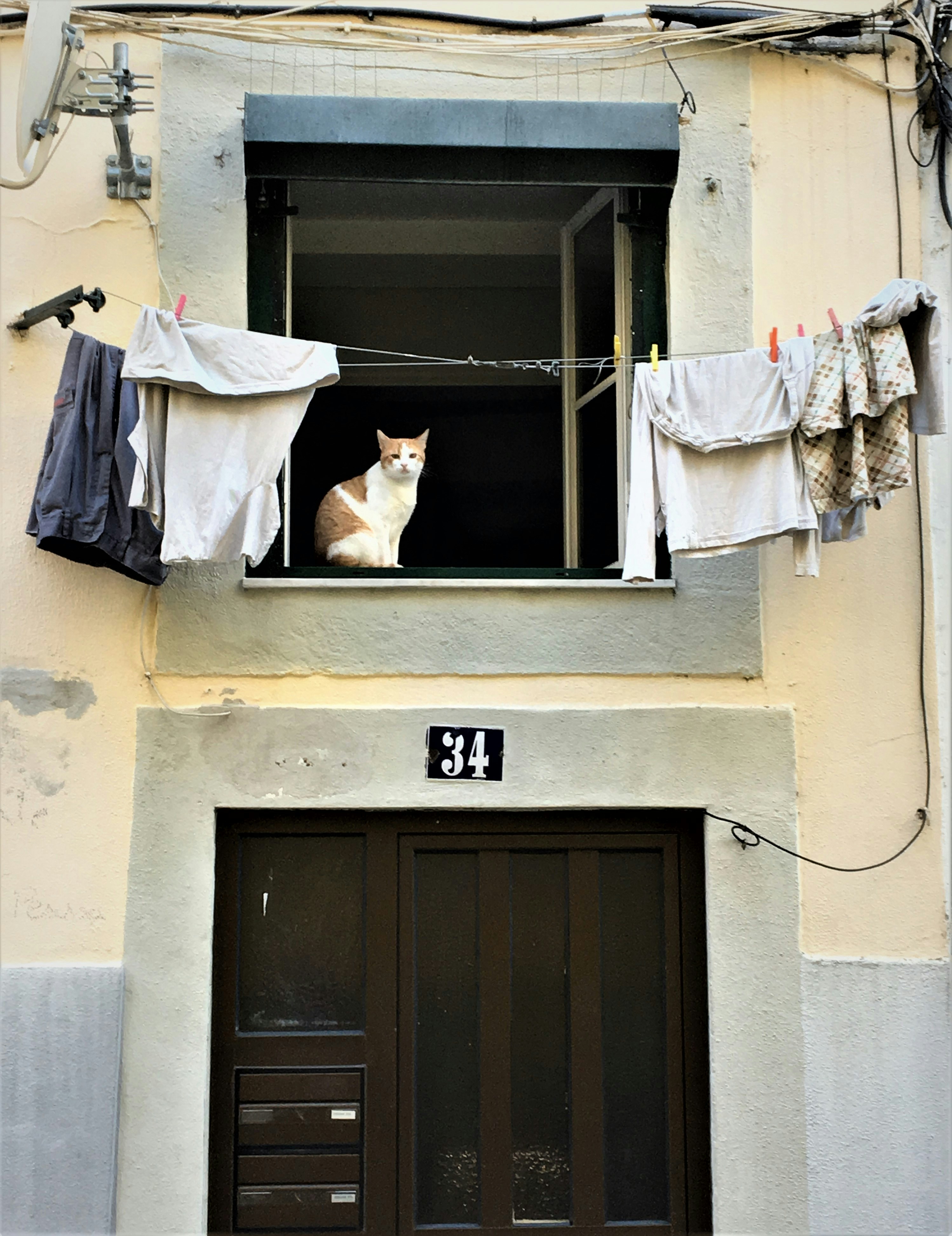 Real estate agent at work